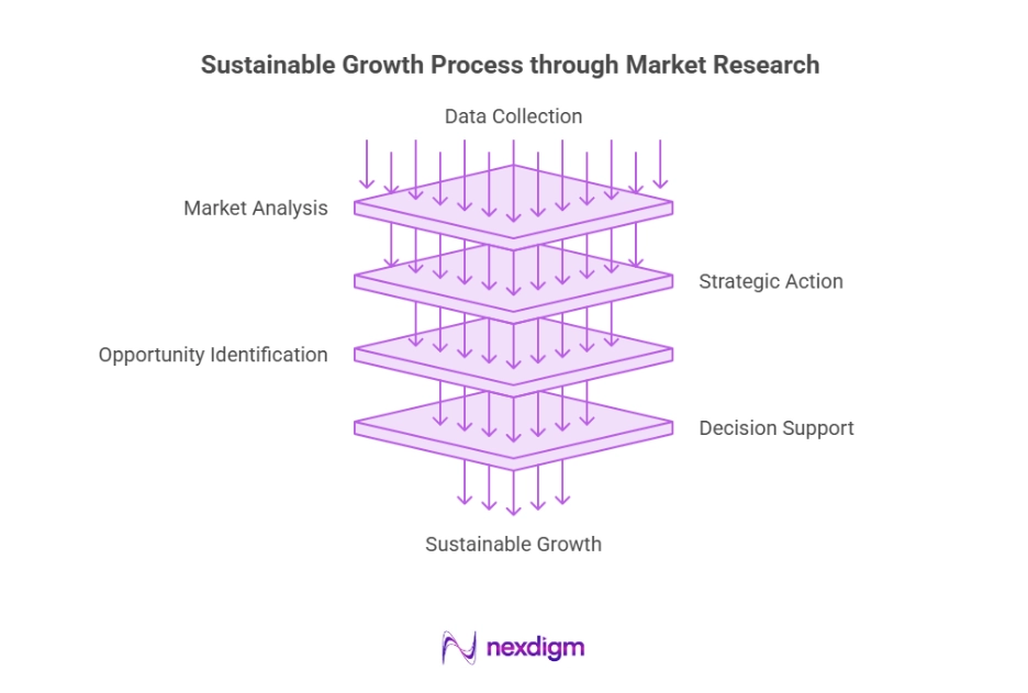 Sustainable Growth Through Market Research