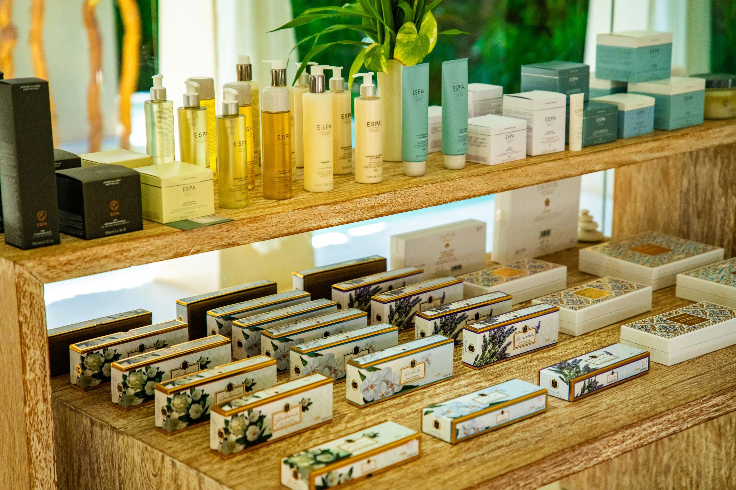UAE Personal Care Packaging Market Outlook to 2035 UAE-Personal-Care-Packaging-Market-scaled