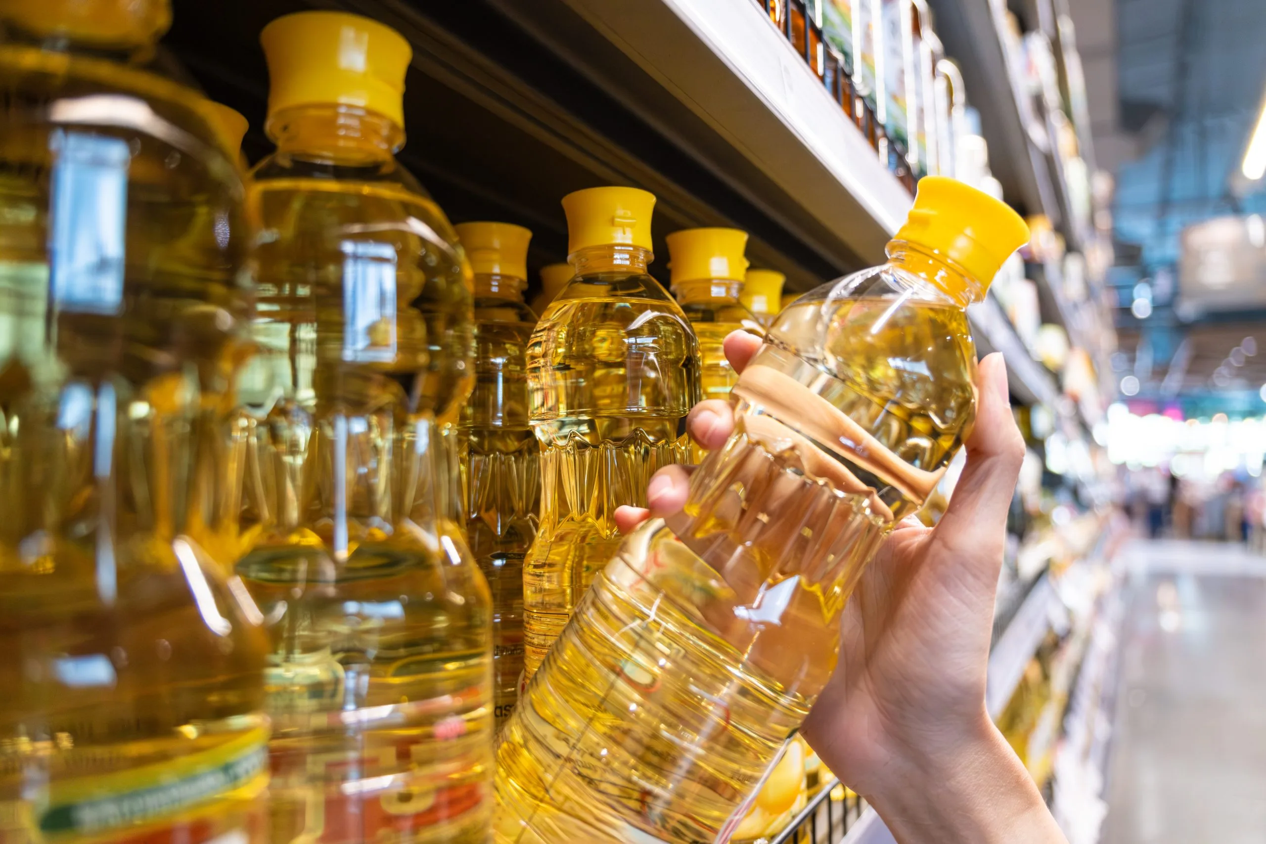 Vietnam Fats and Oil Market Outlook to 2035 Vietnam-Fats-and-Oil-Market-scaled