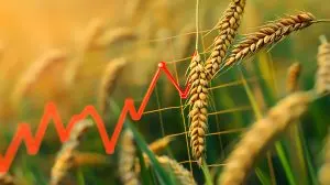 Agricultural Export Pricing Analysis Across Markets Influenced by Trade and Currency Movements 