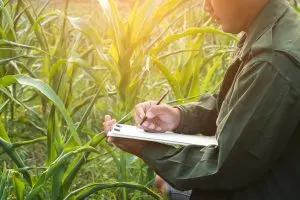 How Agricultural Product Pricing Benchmarking Identifies 10% to 25% Price Gaps Across Competitive Markets 
