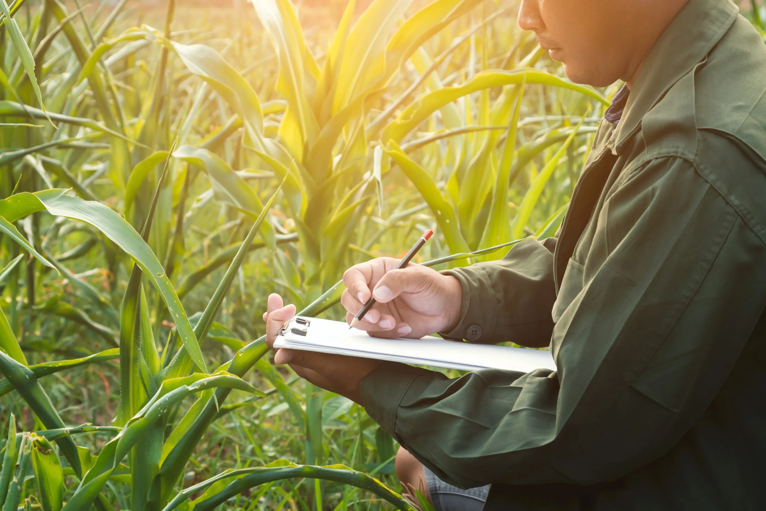 How Agricultural Product Pricing Benchmarking Identifies 10% to 25% Price Gaps Across Competitive Markets agricultural-product-pricing-benchmarking-scaled