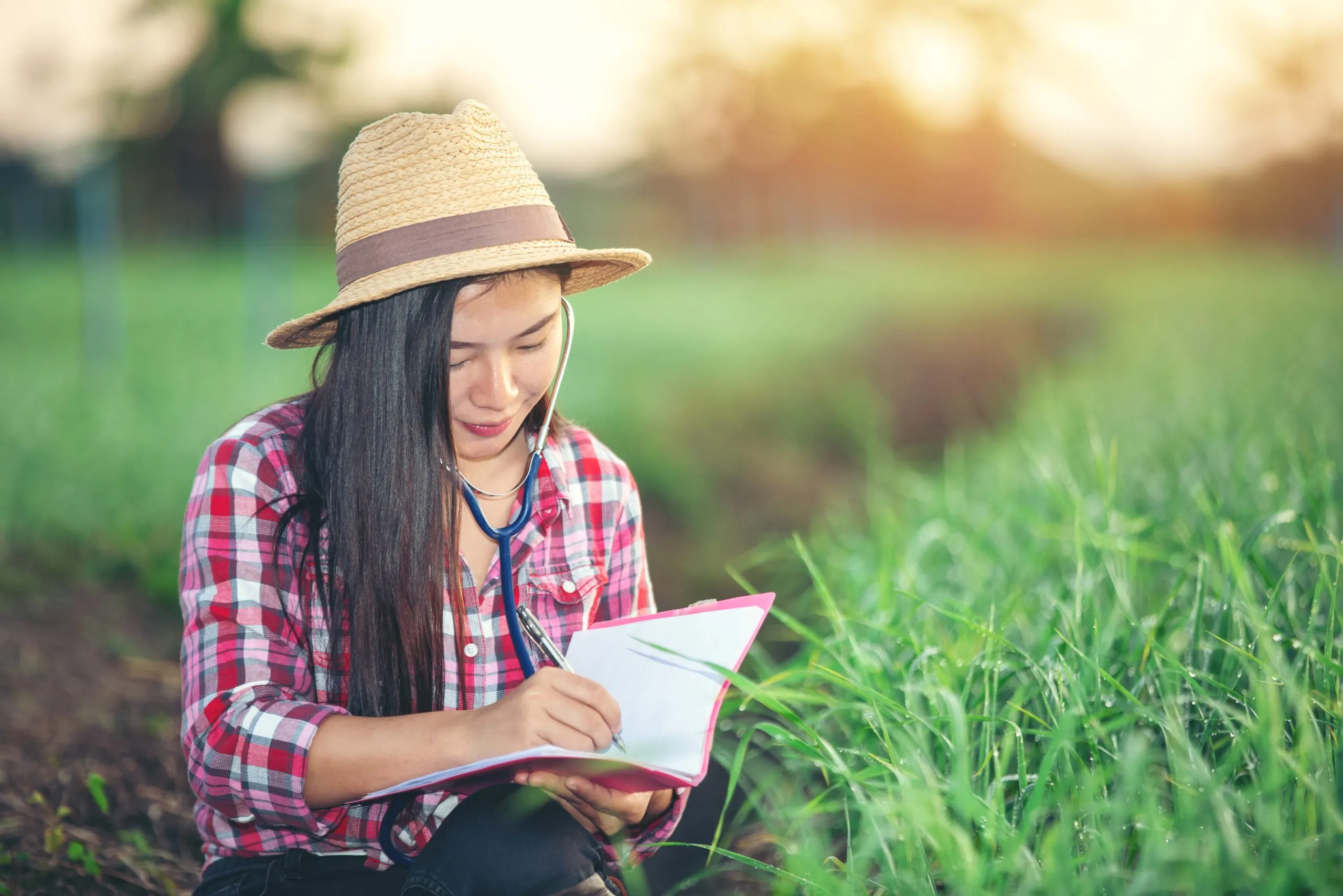 Understanding Farmer Willingness to Pay Across Premium Seeds, Inputs and Technologies agricultural-willingness-to-pay-analysis-scaled