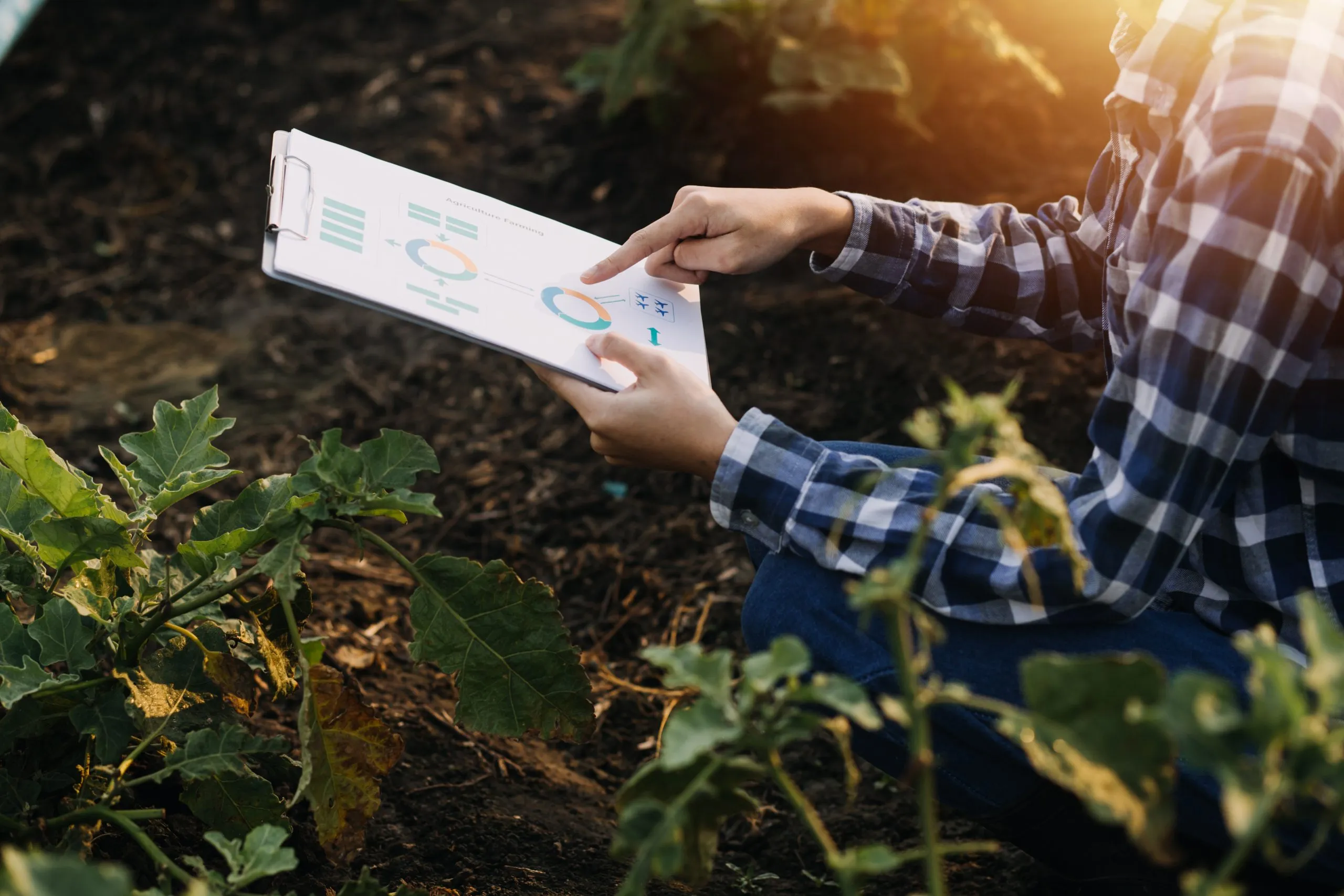 Agriculture Affordability Analysis for Markets Managing Rising Production Costs agriculture-affordability-pricing-analysis-scaled