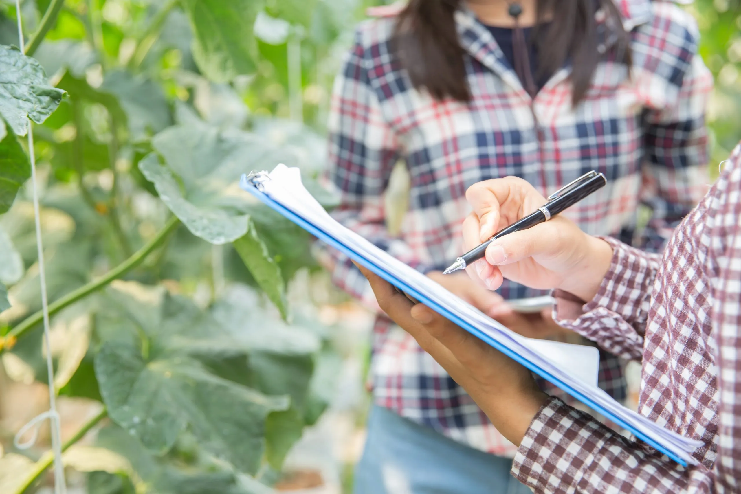 How Competitive Pricing Analysis Helps Agribusinesses Strengthen Market Position agriculture-competitive-pricing-analysis-scaled