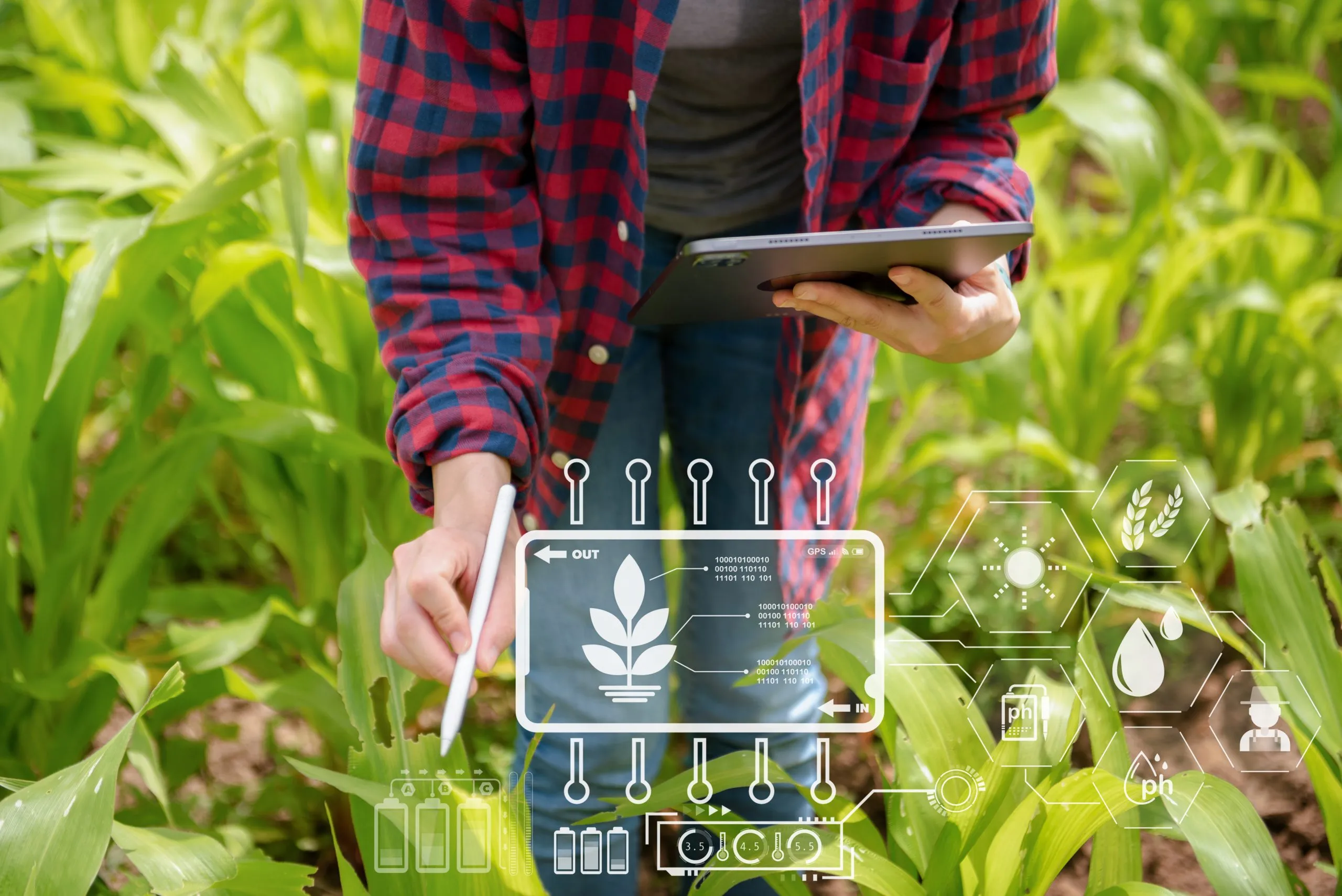 How Competitor Pricing Analysis Helps Agribusinesses Improve Market Positioning agriculture-competitor-pricing-analysis-scaled