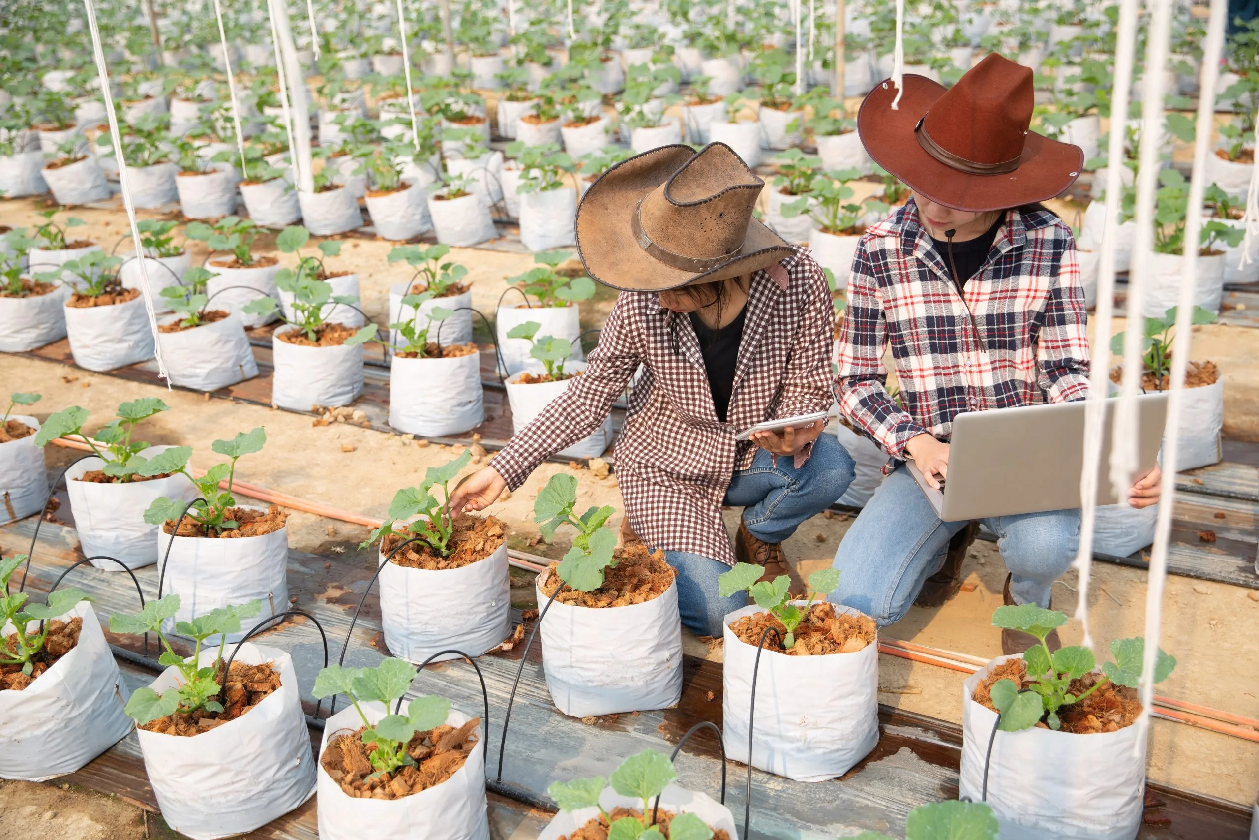 Export Expansion Strategies Help Agricultural Businesses Capture Opportunities in Global Food Trade Markets agriculture-export-expansion-strategy-scaled