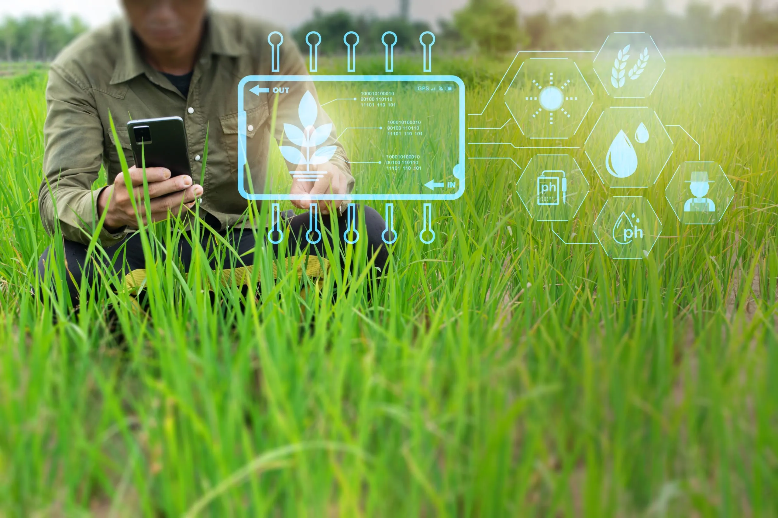 Export Price Intelligence for Agricultural Businesses Expanding into International Markets agriculture-export-price-intelligence-scaled