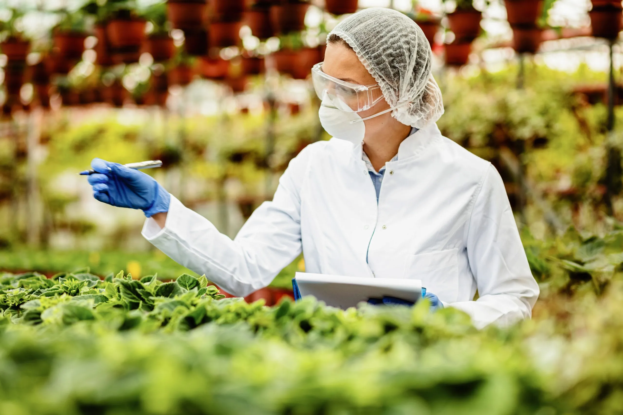 Agriculture Price Positioning Analysis for Products Competing Across Premium and Value Segments agriculture-price-positioning-analysis-scaled