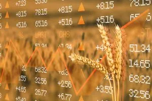Pricing Competitiveness Intelligence for Agribusinesses Navigating Intense Market Competition 