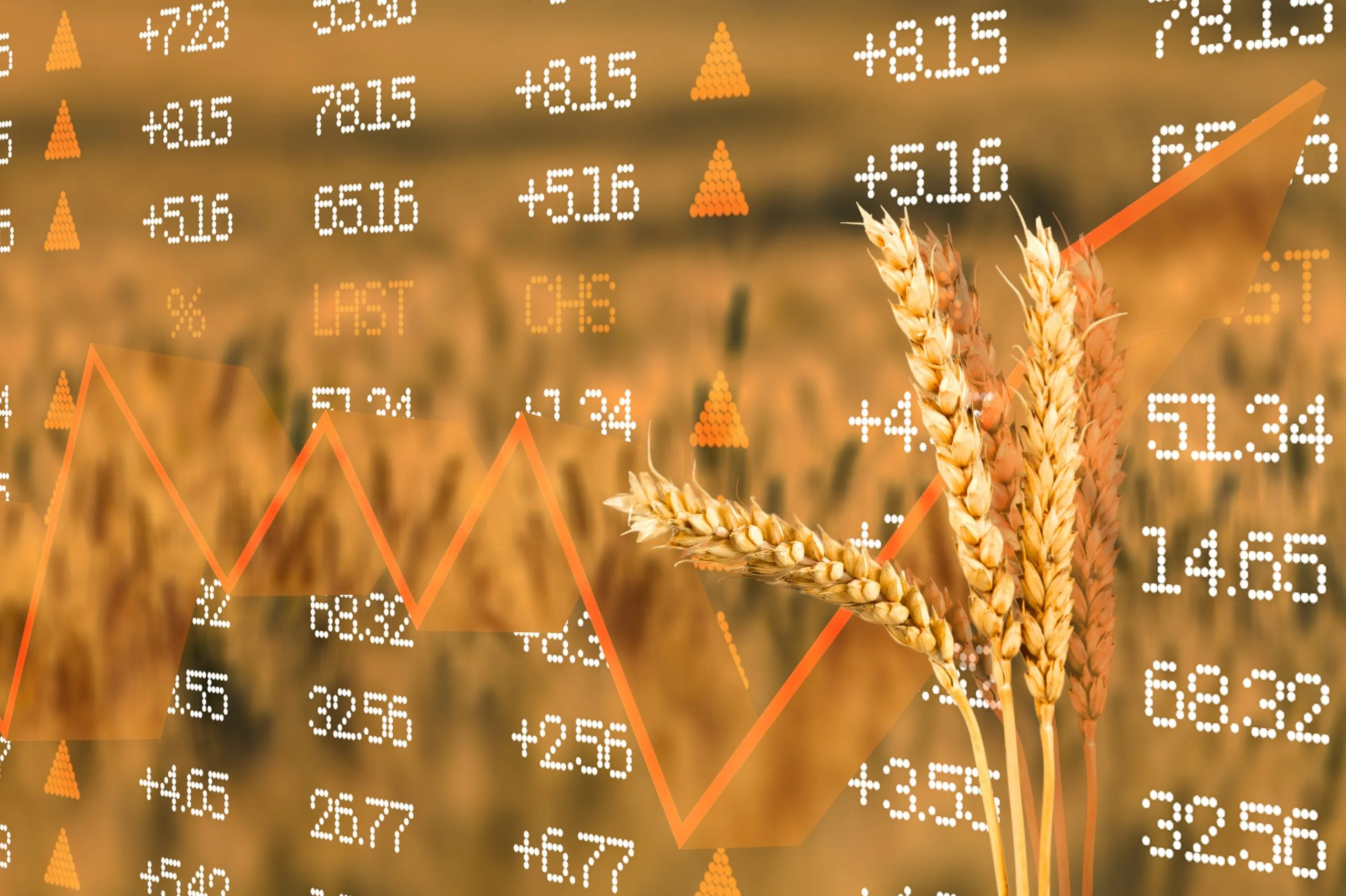 Pricing Competitiveness Intelligence for Agribusinesses Navigating Intense Market Competition agriculture-pricing-competitiveness-intelligence-scaled