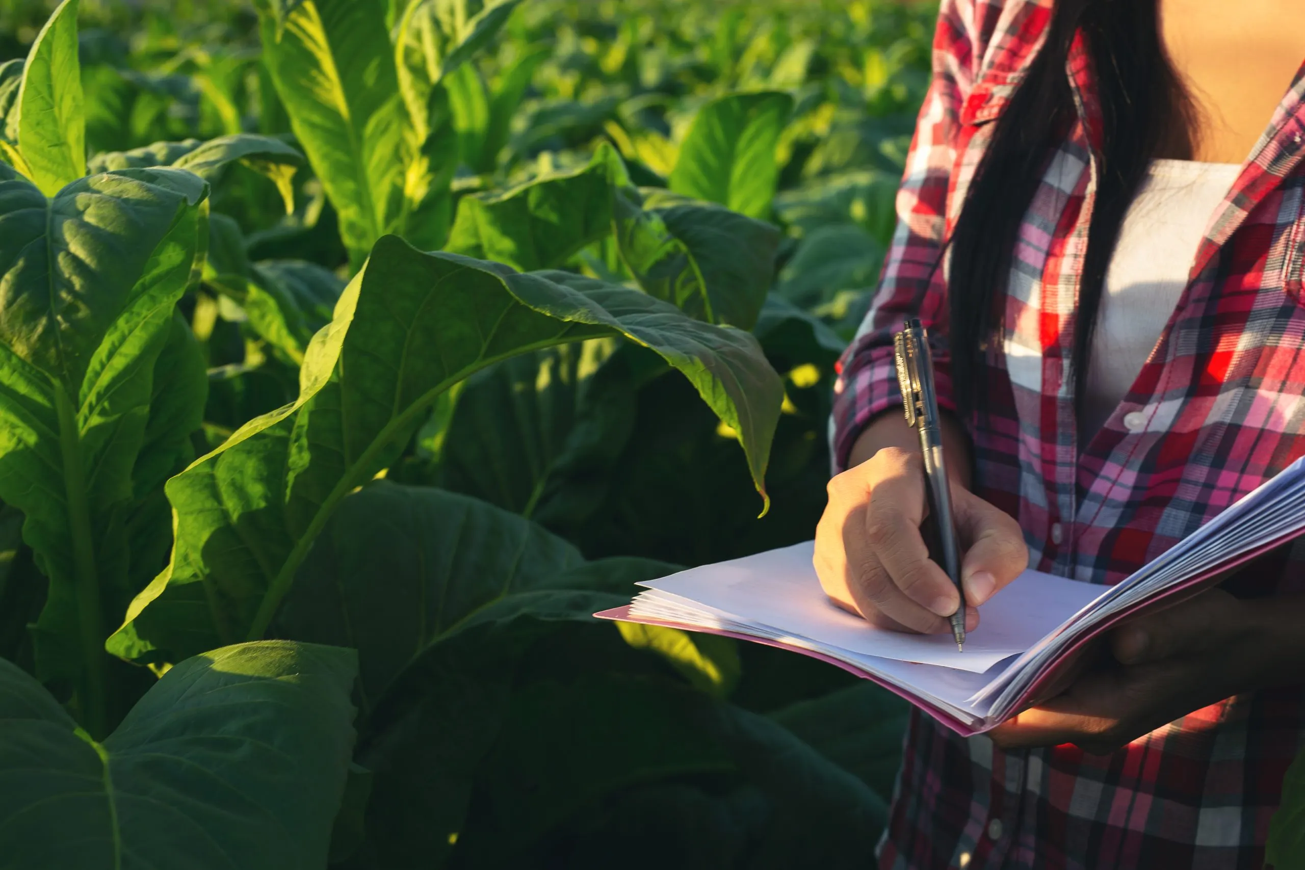 How Pricing Intelligence Research Helps Agribusinesses Navigate Commodity Volatility and Margin Pressure agriculture-pricing-intelligence-research-scaled