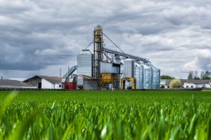 KSA Micronutrient Fertilizer Market Supported by a USD 85 Million Agricultural Micronutrients Industry