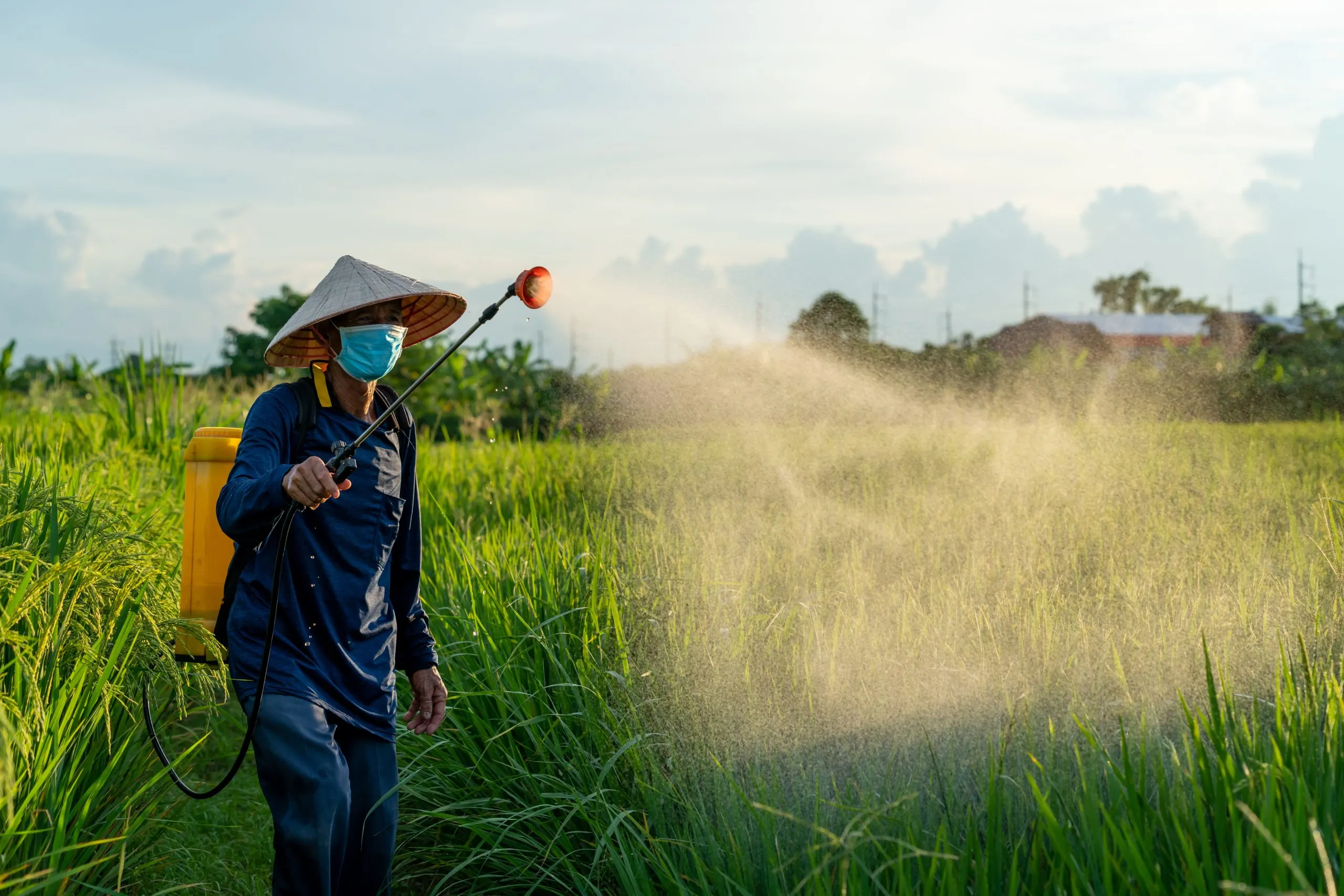 Philippines Herbicide Market Driven by Crop Production Exceeding 80 Million Metric Tons asian-farmer-spraying-pesticide-rice-fields-scaled