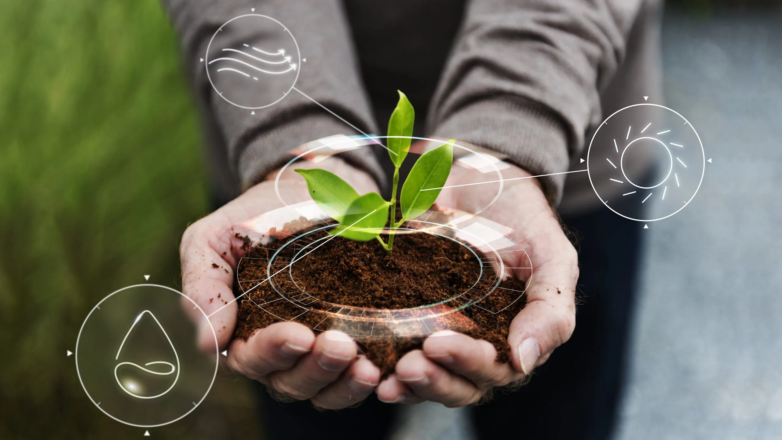 Carbon Farming Opportunities Expand as Agricultural Carbon Markets Continue to Evolve carbon-farming-investment-entry-strategy-scaled
