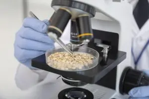 Vietnam Microbial Food Culture Market Outlook to 2035
