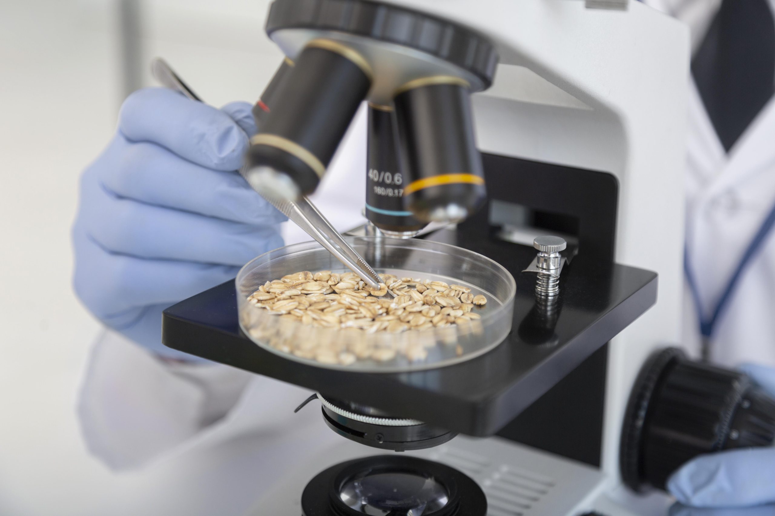Vietnam Microbial Food Culture Market Outlook to 2035 close-up-scientist-working-with-petri-dish-scaled