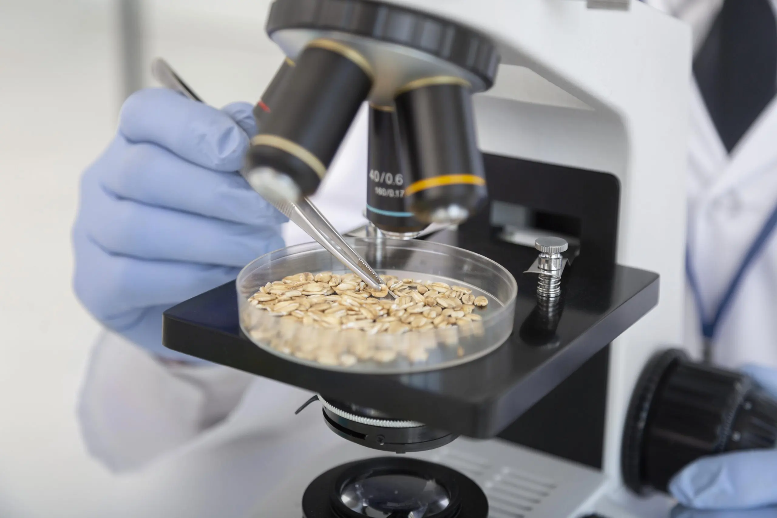 Vietnam Microbial Food Culture Market Outlook to 2035 close-up-scientist-working-with-petri-dish-scaled