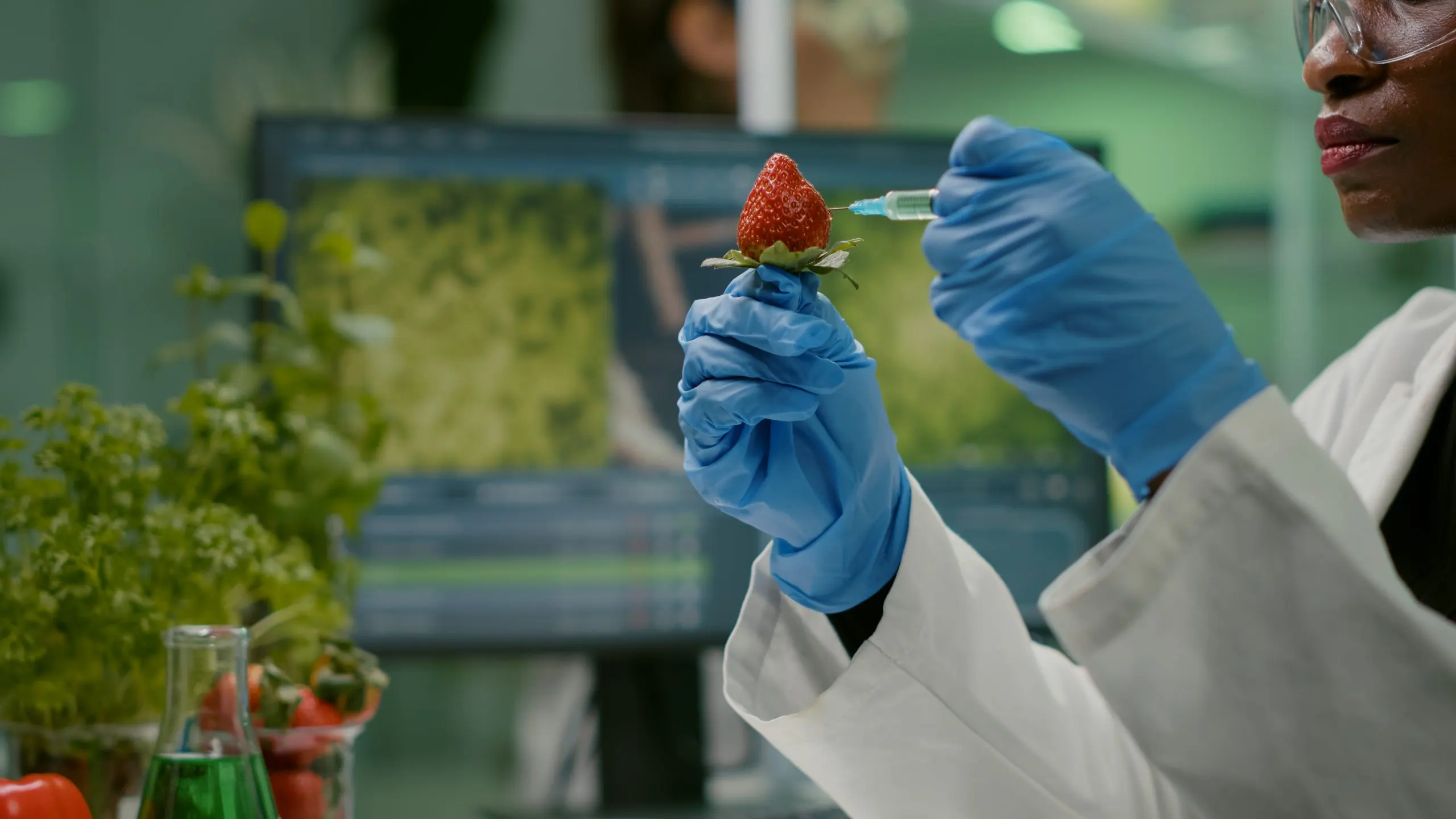South Africa Microbial Food Culture Market Outlook to 2035 closeup-chemist-scientist-injecting-nature-strawberry-with-chemical-pesticides-scaled