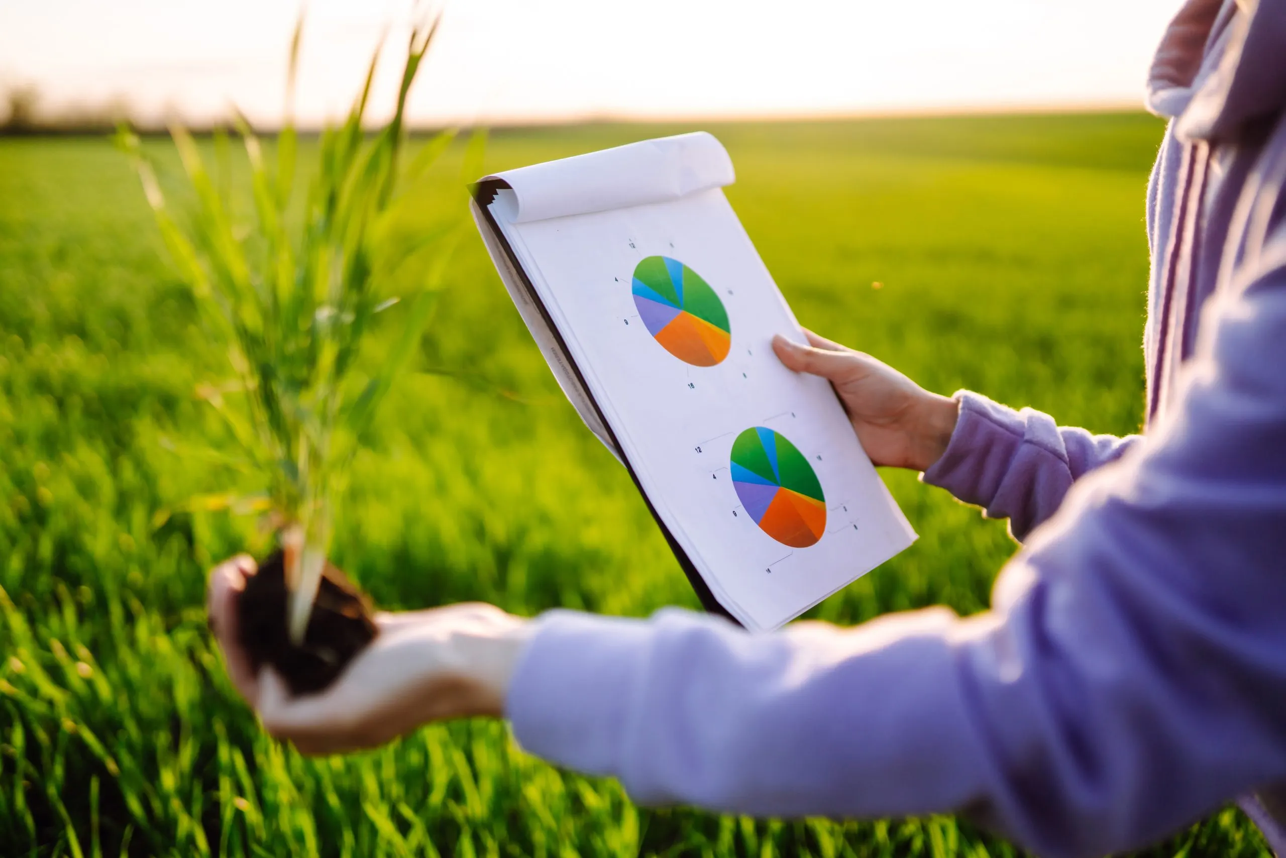 How Pricing Influences Demand Across Fertilizers, Seeds and Crop Protection Products crop-input-demand-pricing-study-scaled