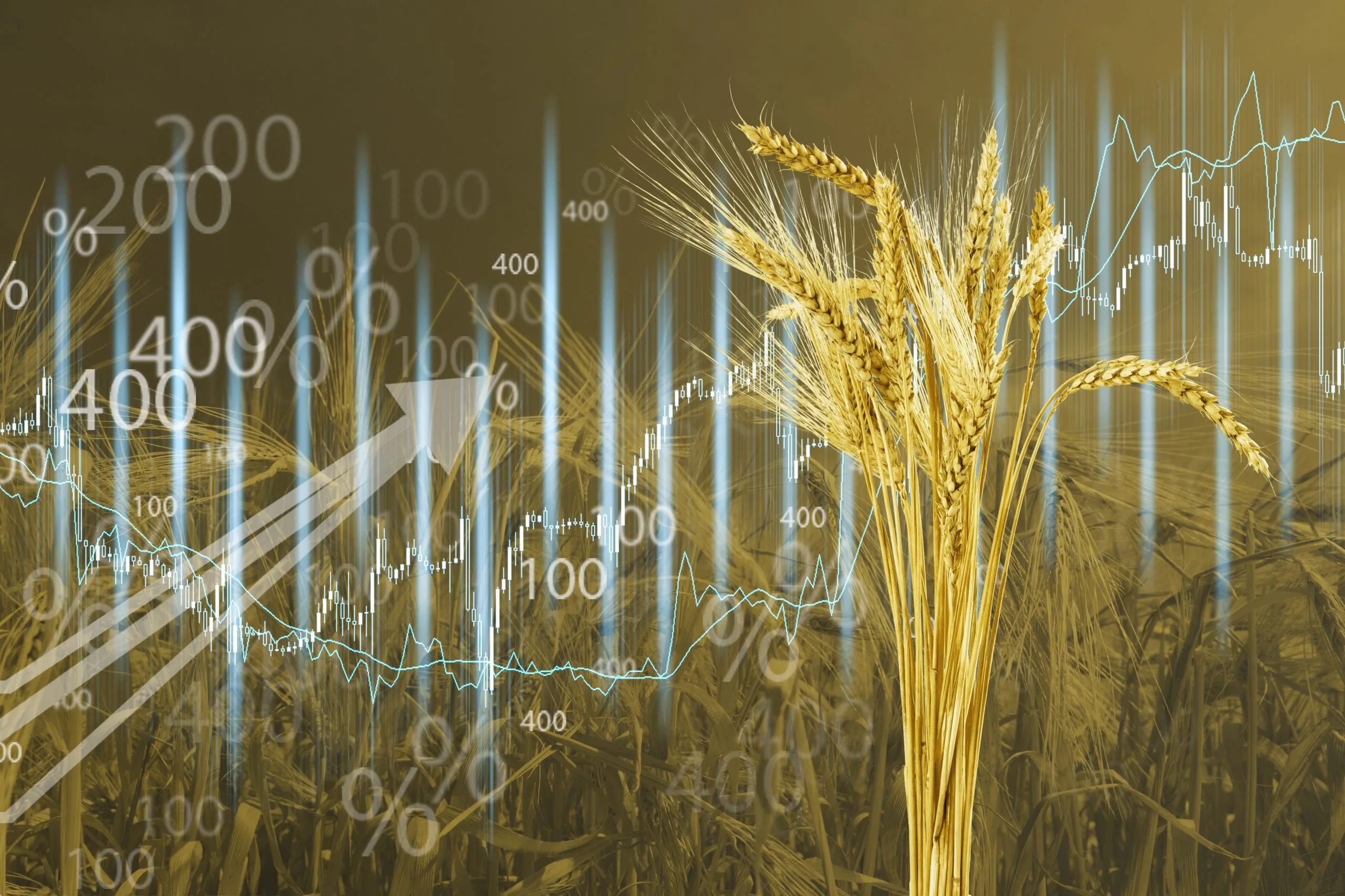 Comparing Crop Prices Across Domestic and International Agricultural Markets crop-market-price-comparison-scaled
