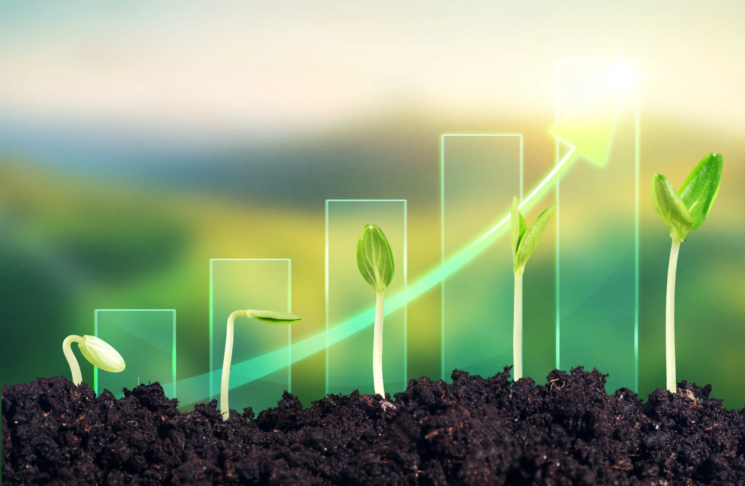 Crop Pricing Research Services for Companies Evaluating Commercial Launch Opportunities crop-pricing-research-and-analysis-services-scaled
