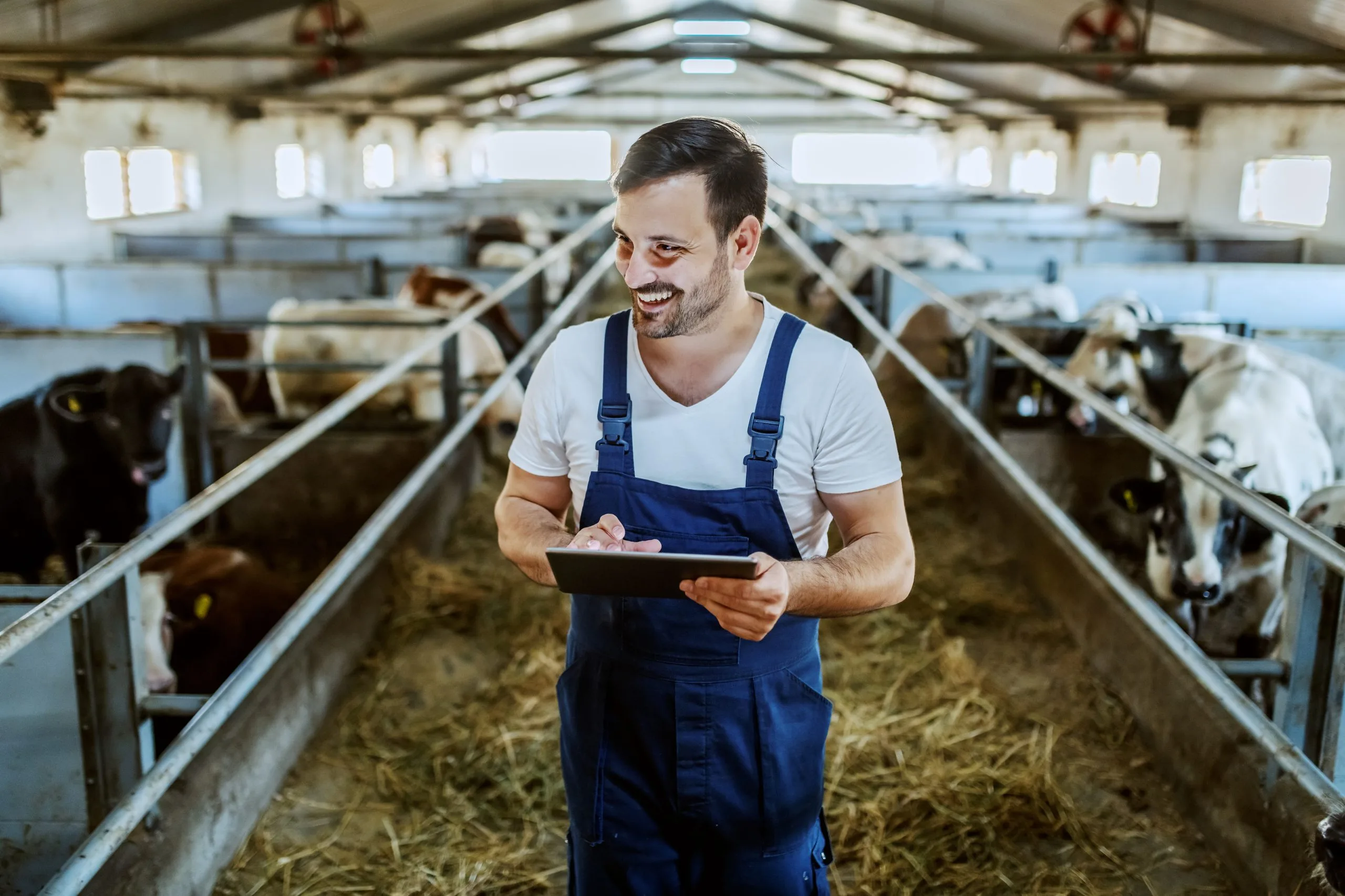 Dairy Affordability Analysis Across Markets Balancing Consumer Demand and Cost Inflation dairy-affordability-and-pricing-analysis-scaled