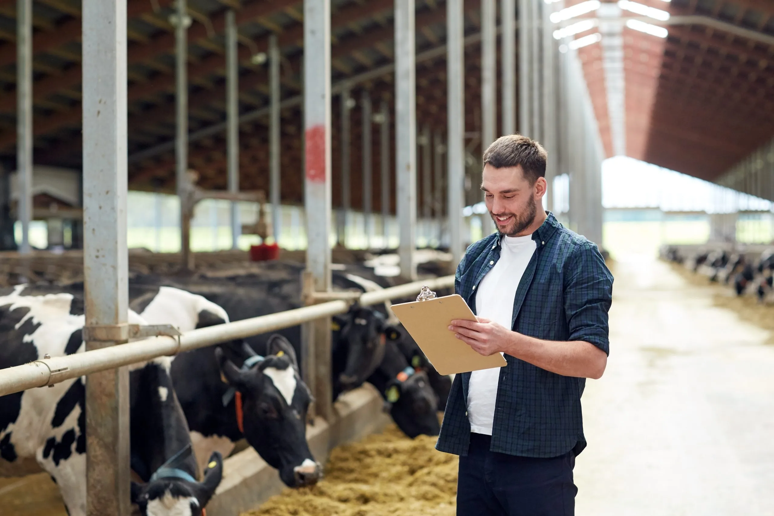 Benchmarking Dairy Product Pricing Across Local and International Brands dairy-competitor-pricing-benchmarking-services-scaled