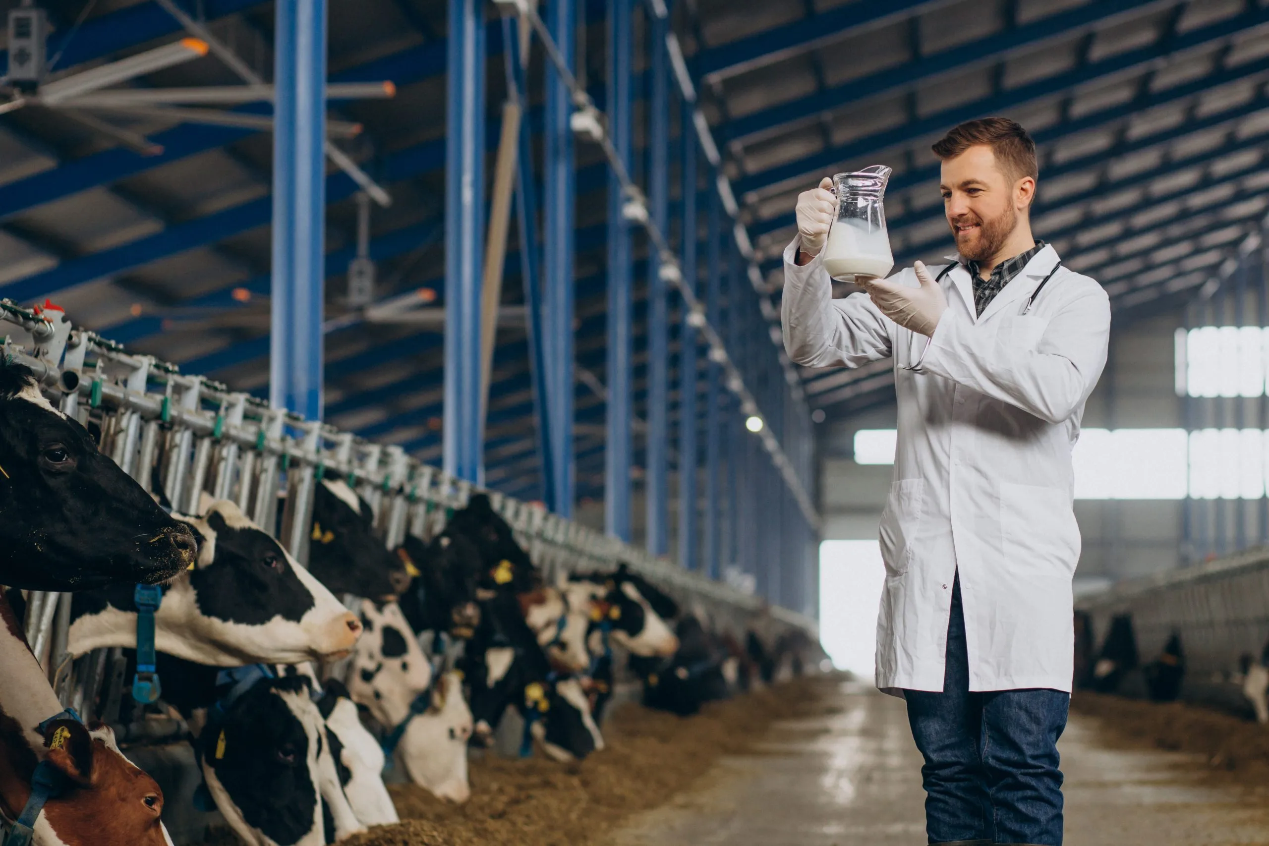 Dairy Expansion Strategies Focus on Value-Added Products and Growing Consumer Demand dairy-industry-expansion-strategy-scaled