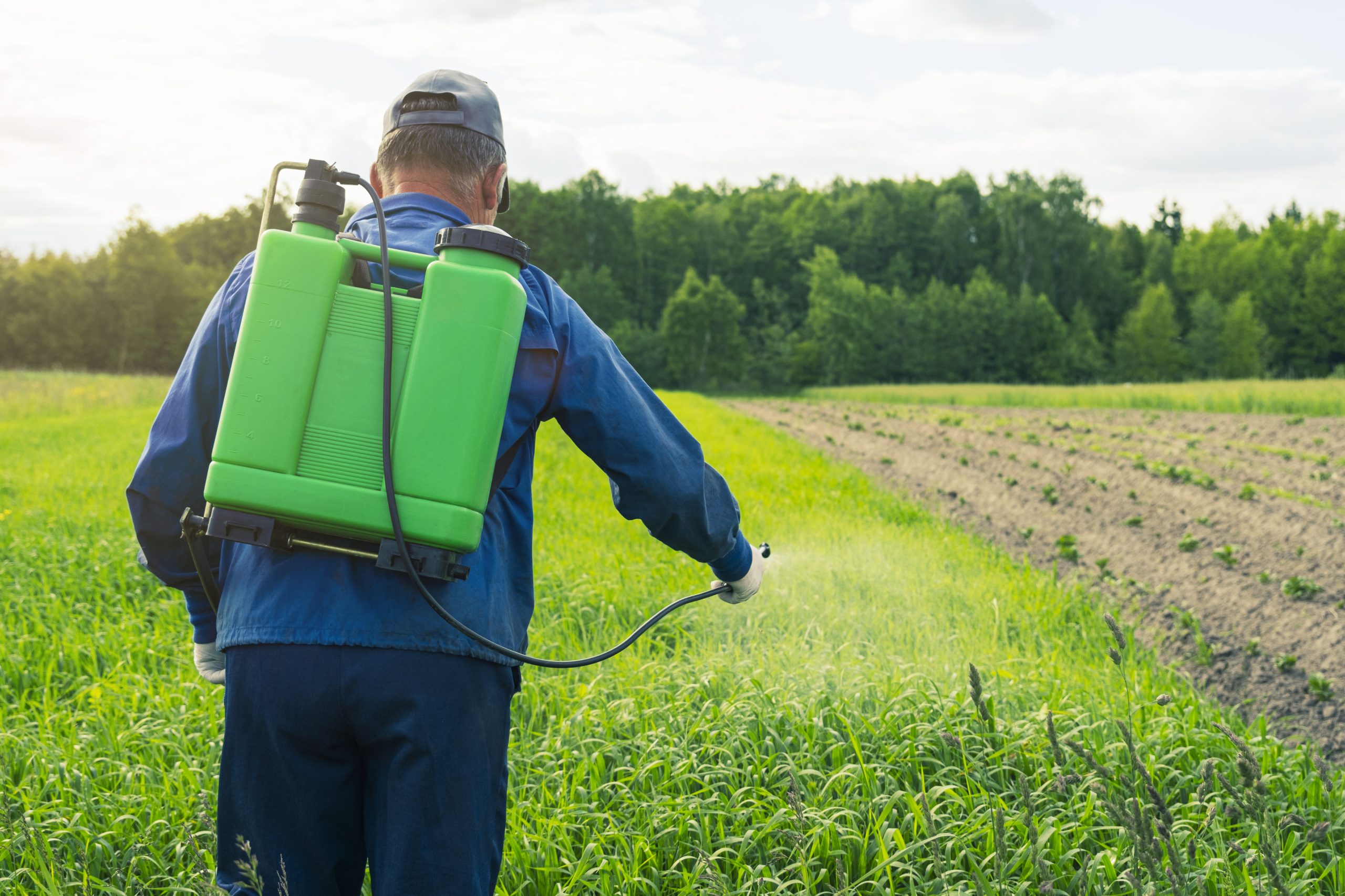 disinfection-field-from-pests-scaled