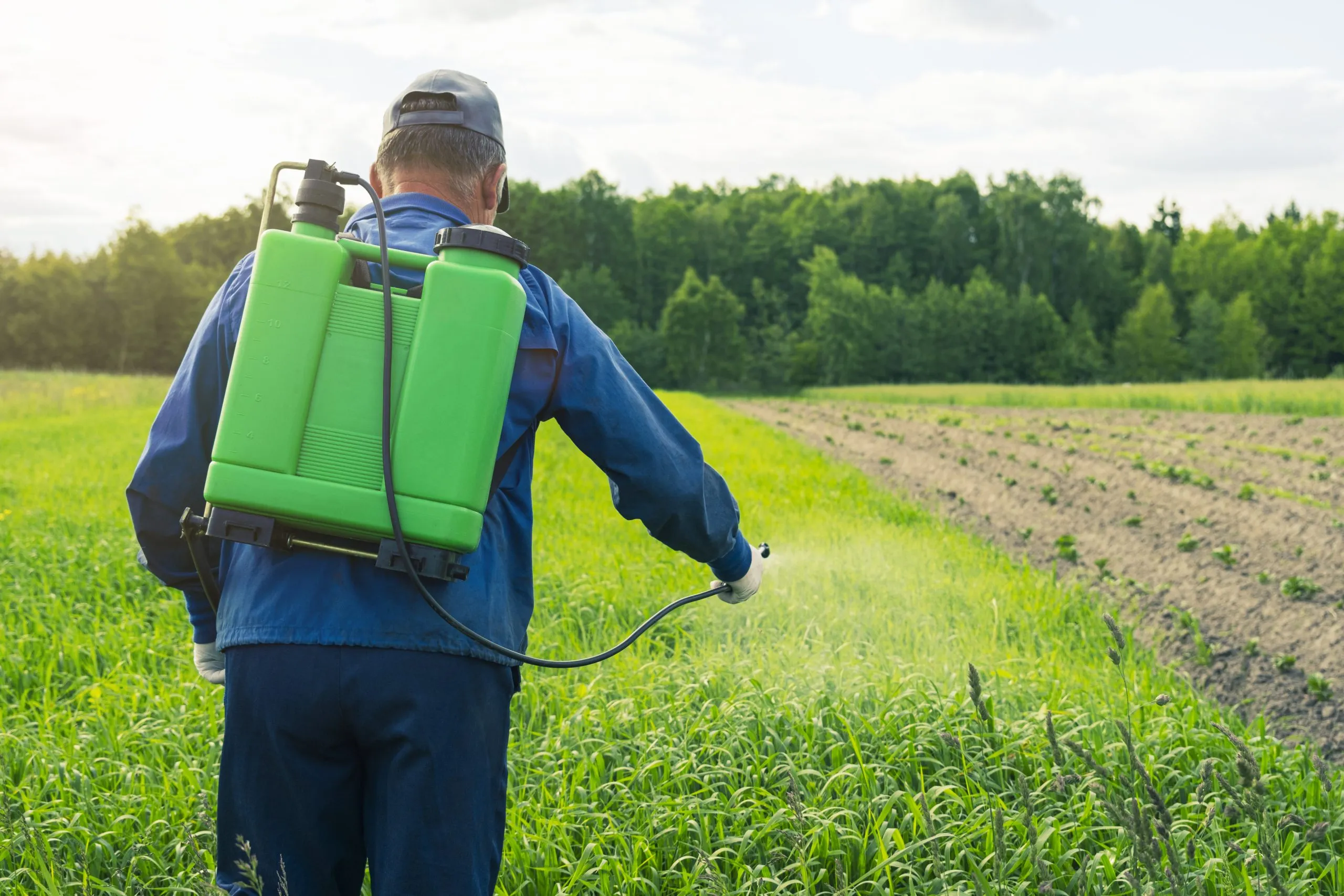 KSA Herbicide Market Strengthens as Agrochemical and Pesticide Demand Grows at 6.2 Percent CAGR disinfection-field-from-pests-scaled
