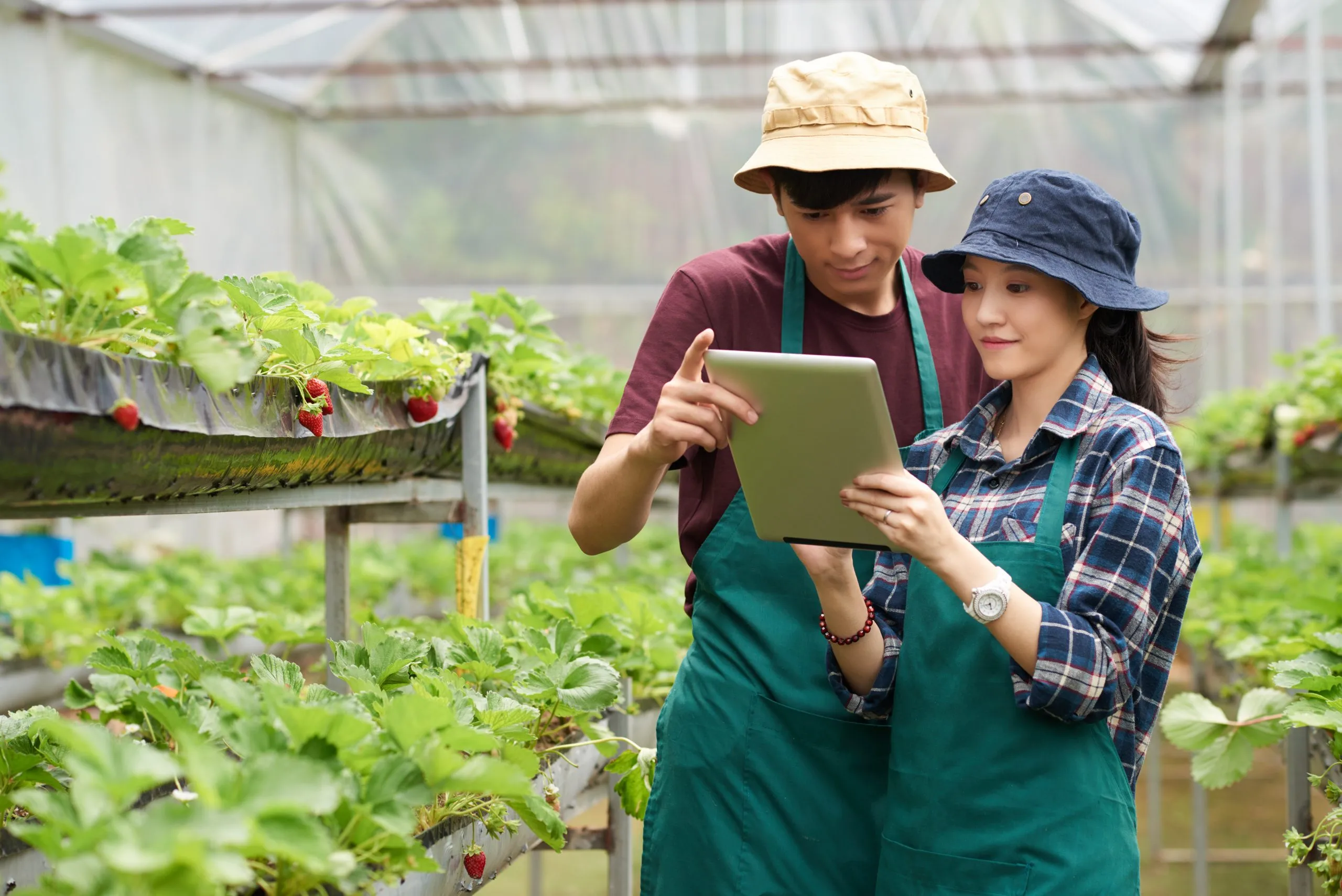 How Farmer Pricing Behavior Influences Product Adoption Across Agricultural Categories farmer-pricing-behavior-analysis-consulting-scaled