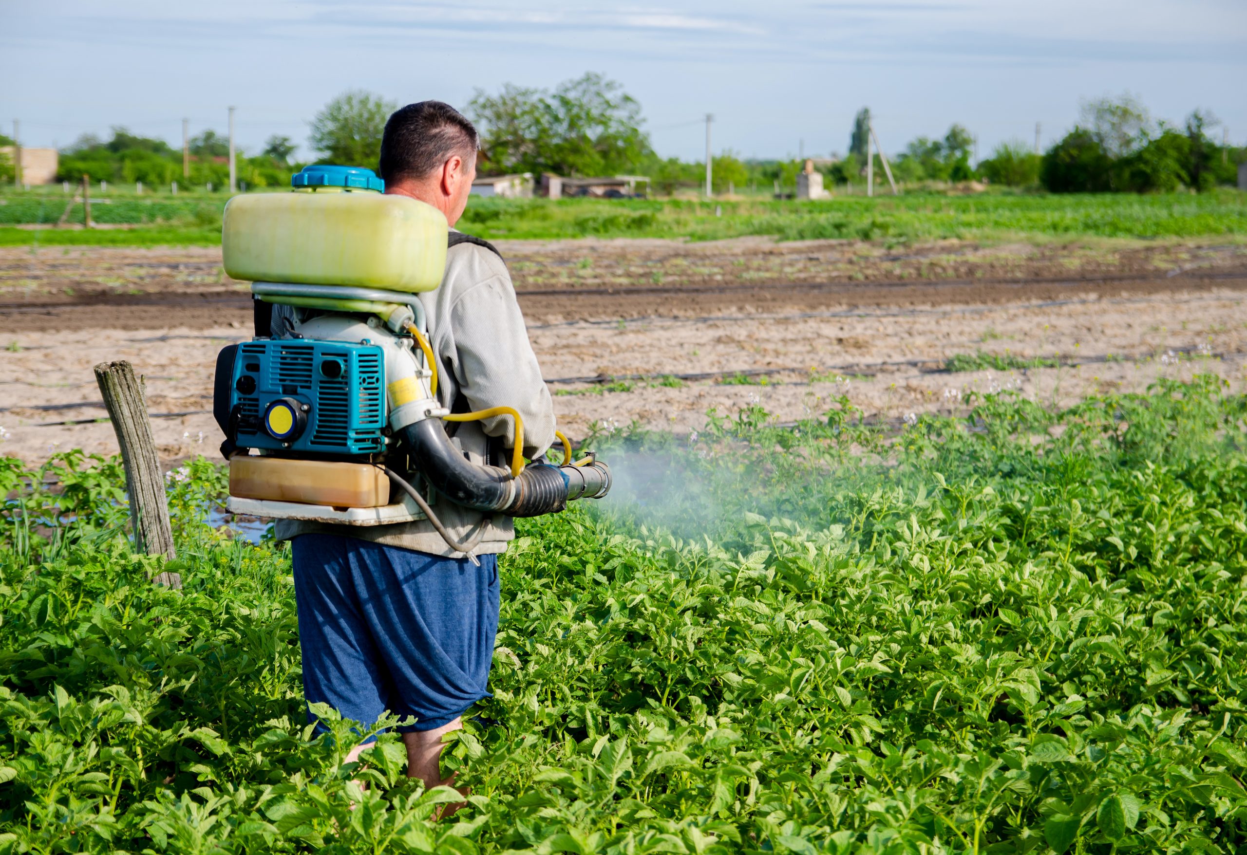 Brazil Herbicide Market Heads Toward Innovation as Global Herbicides Demand Moves Toward USD 71.6 Billion farmer-with-mist-fogger-sprayer-sprays-fungicide-pesticide-potato-bushes-scaled