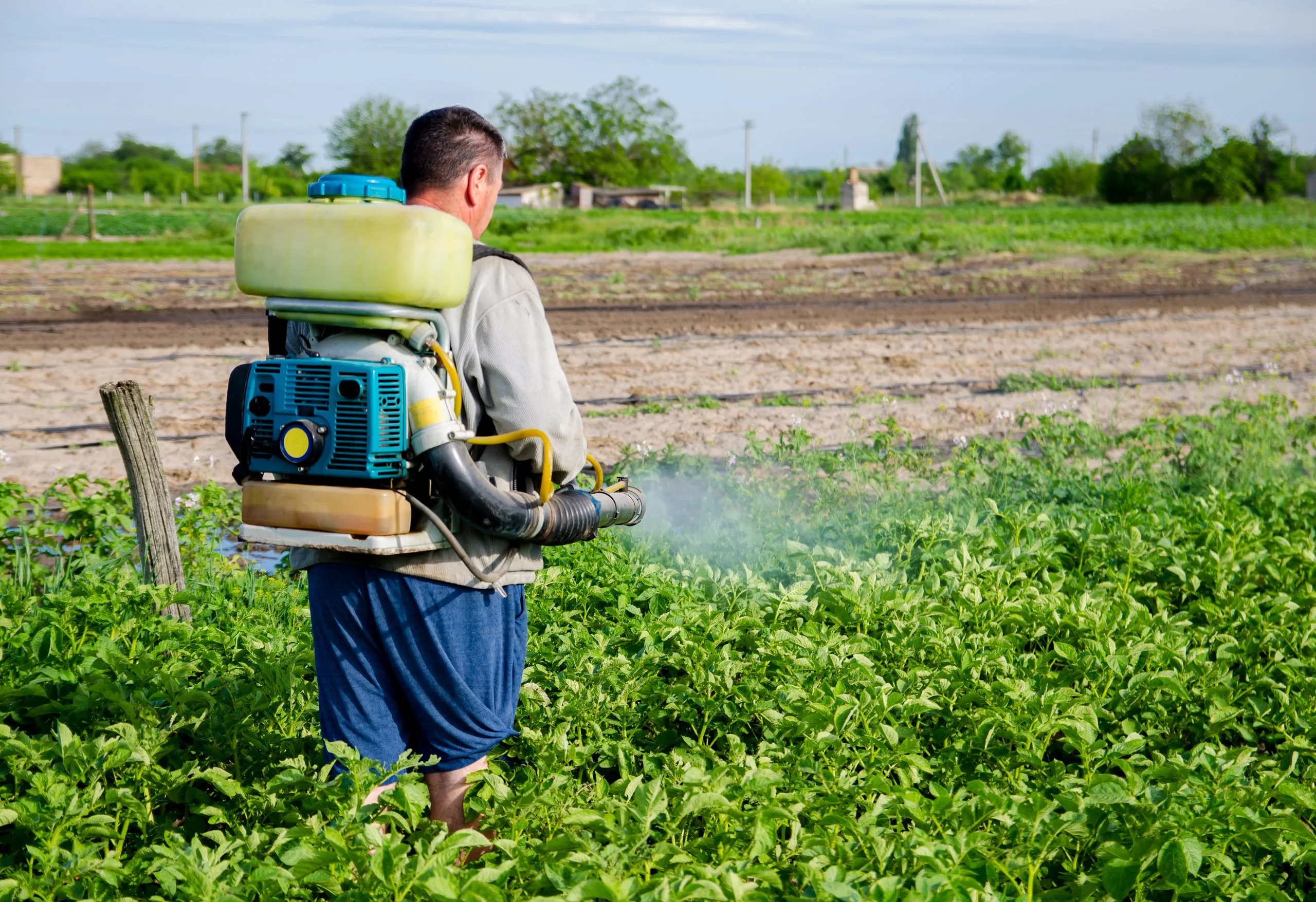 Brazil Herbicide Market Heads Toward Innovation as Global Herbicides Demand Moves Toward USD 71.6 Billion farmer-with-mist-fogger-sprayer-sprays-fungicide-pesticide-potato-bushes-scaled