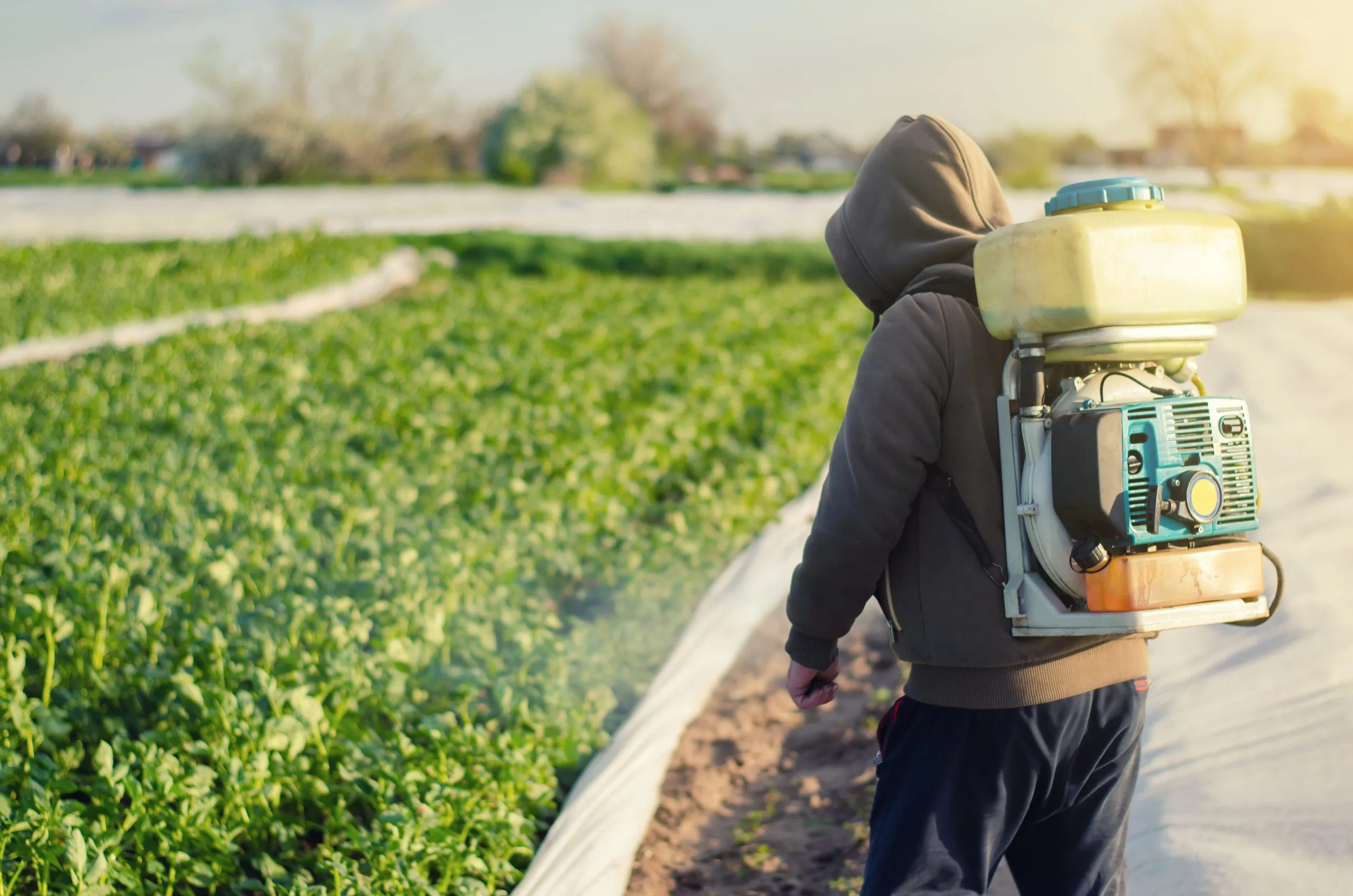 USA Insecticide Market Grows at 4.69 Percent CAGR Driven by Crop Protection, Vector Control, and Residential Pest Management farmer-with-sprayer-treats-potato-plantation-with-pest-fungus-agent-crop-protection-scaled