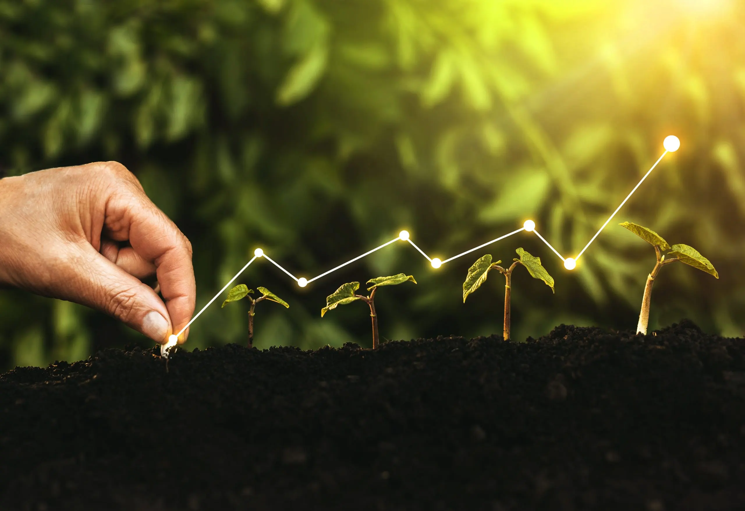 Fertilizer Pricing Studies for Markets Facing Frequent Supply and Cost Fluctuations fertilizer-market-pricing-study-consulting-scaled