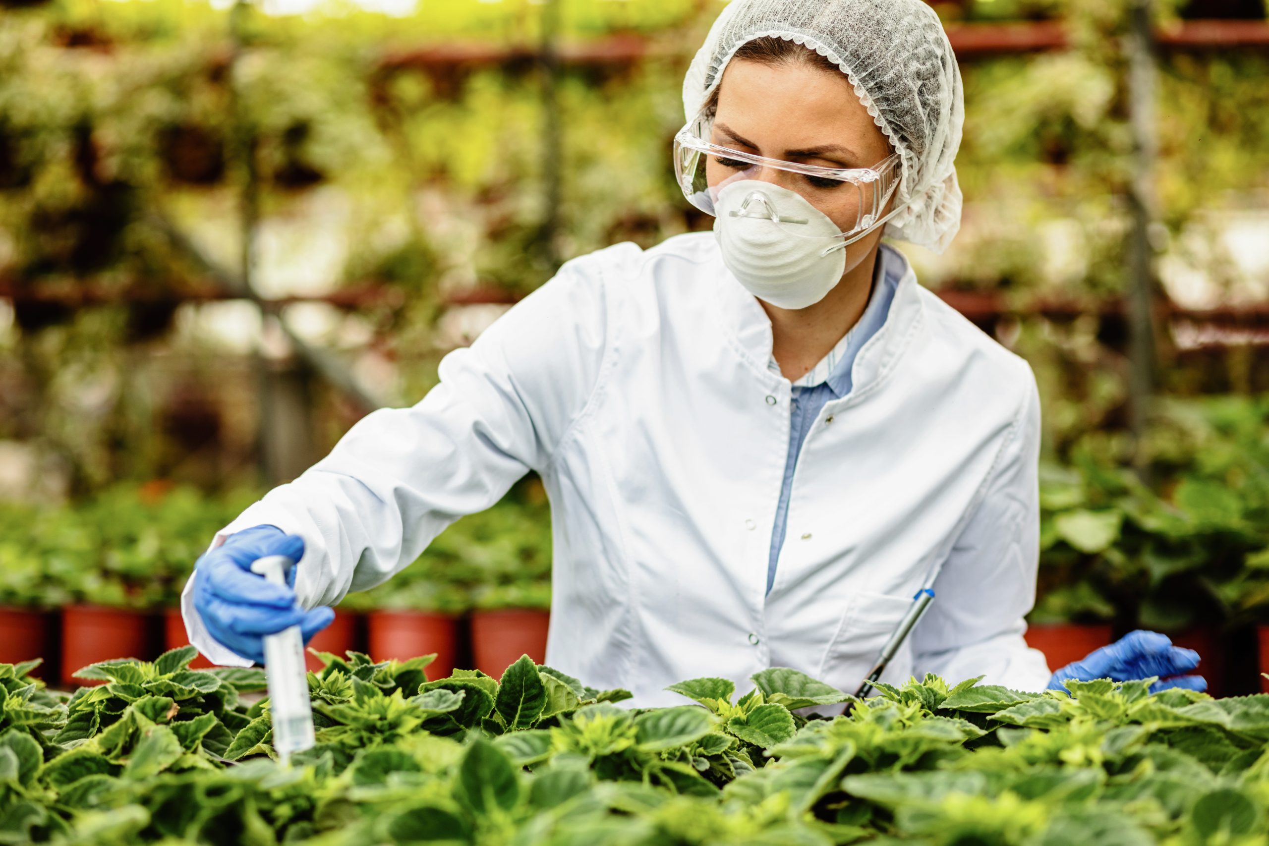 Fertilizer Price Sensitivity Analysis for Markets Facing Cost and Demand Volatility fertilizer-pricing-sensitivity-analysis-services-scaled