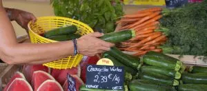 Fresh Produce Pricing Competitiveness and Its Impact on Retail and Export Performance 