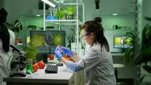 Nigeria Microbial Food Culture Market Outlook to 2035