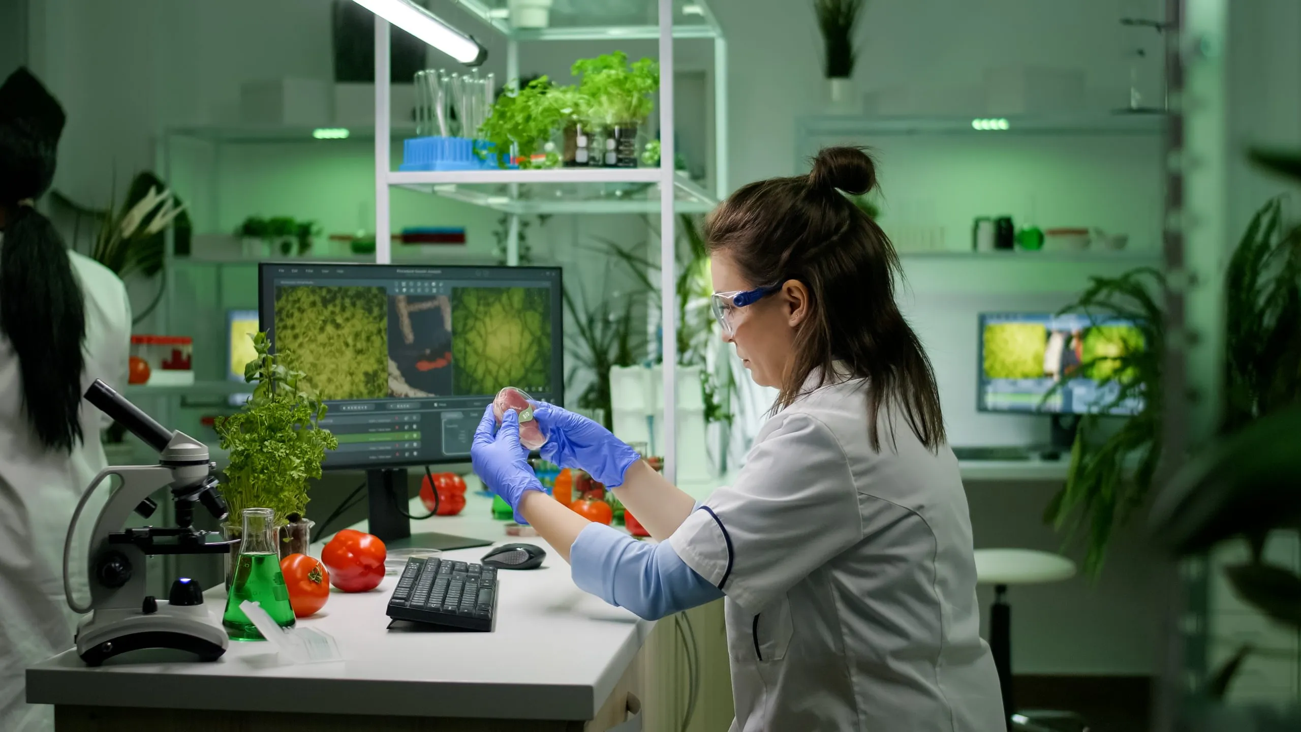 Nigeria Microbial Food Culture Market Outlook to 2035 front-view-woman-researcher-analyzing-petri-dish-with-vegan-meat-typing-biological-expertise-computer-scaled
