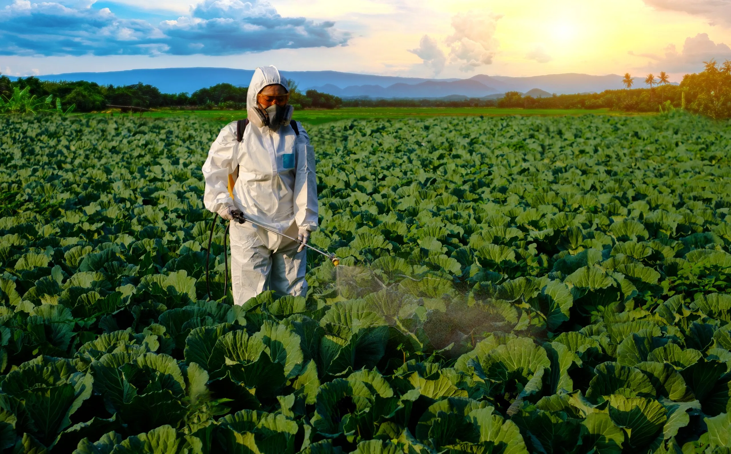 Brazil Insecticide Market Builds Opportunity as Crop Protection Chemicals Head Toward USD 45.23 Billion gardener-protective-suit-spray-fertilizer-with-pesticides-huge-cabbage-vegetable-plant-mountain-sunset-1-scaled