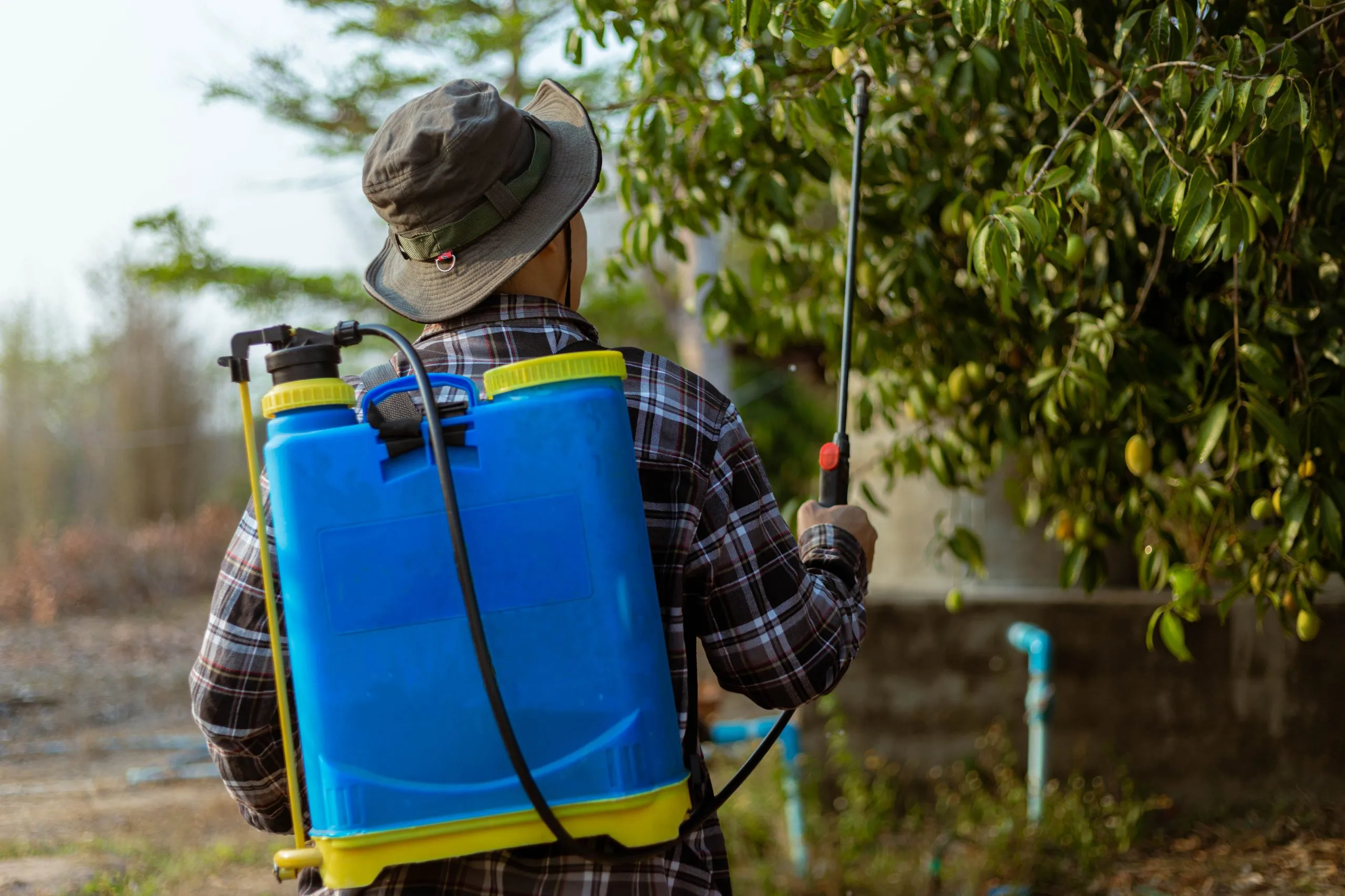 Singapore Insecticide Market Builds Opportunity as Asia Pacific Insecticide Demand Heads Toward USD 8.41 Billion gardening-concept-male-gardener-getting-rid-insects-by-spraying-organic-insecticide-whole-trees-scaled