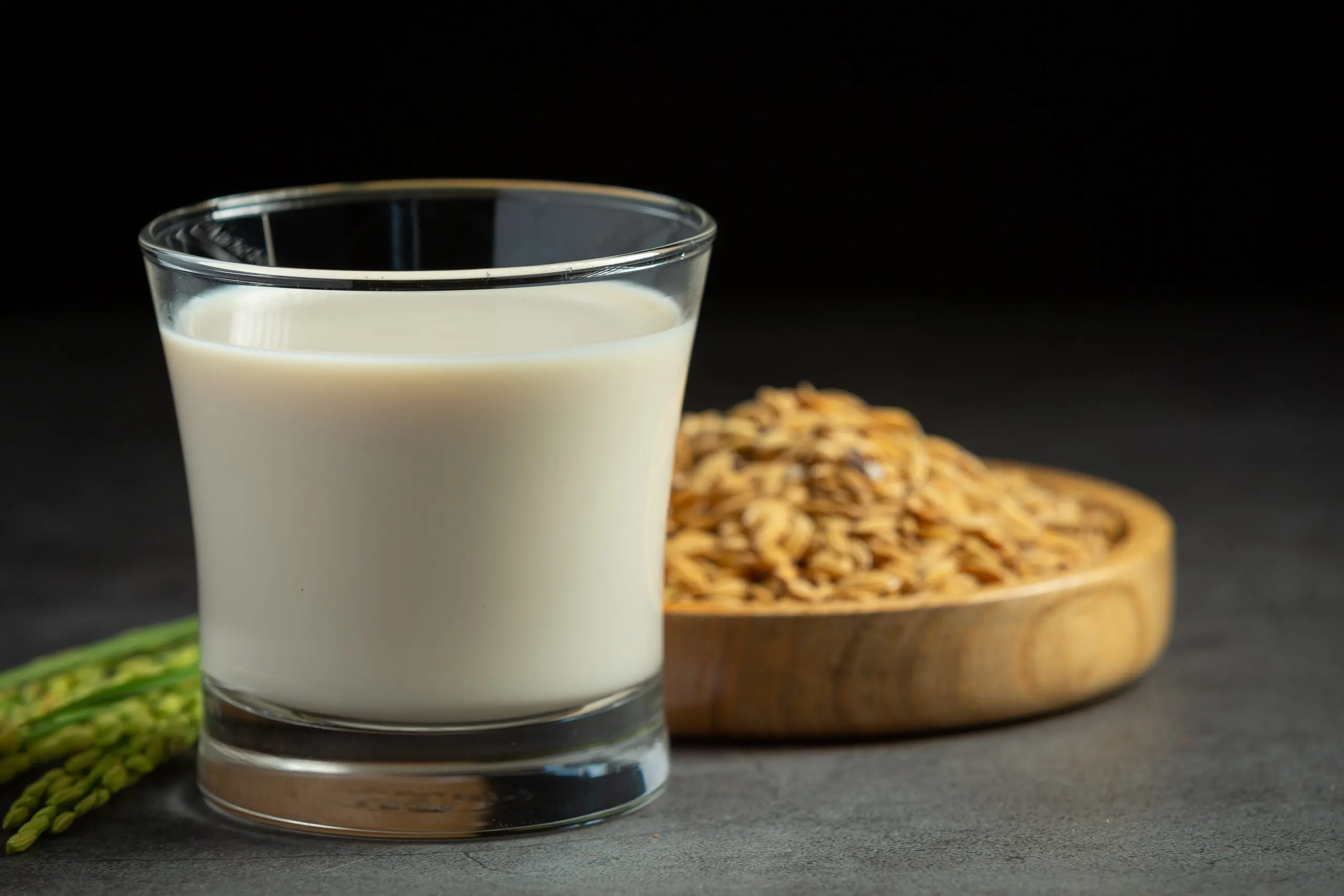 KSA Sour Milk Drinks Market Builds Opportunity as Yoghurt and Sour Milk Products Head Toward SAR 7.4 Billion glass-rice-milk-with-rice-plant-rice-seed-put-dark-floor-scaled