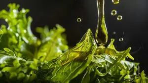 Brazil Algae Omega 3 Ingredient Market Advances as Algal DHA Oil Delivers 545 mg DHA and 80 mg EPA per Gram