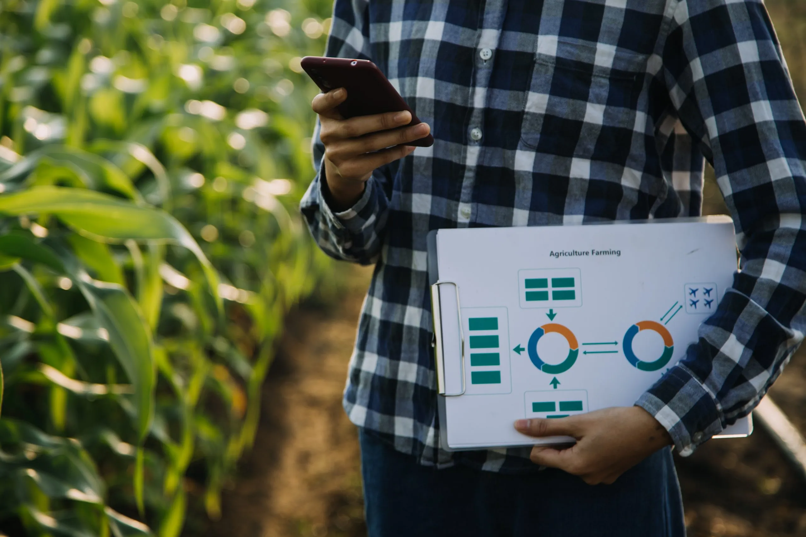 Hybrid Seed Pricing Analysis in Markets Where Yield Improvements Drive Premium Pricing hybrid-seed-pricing-analysis-scaled