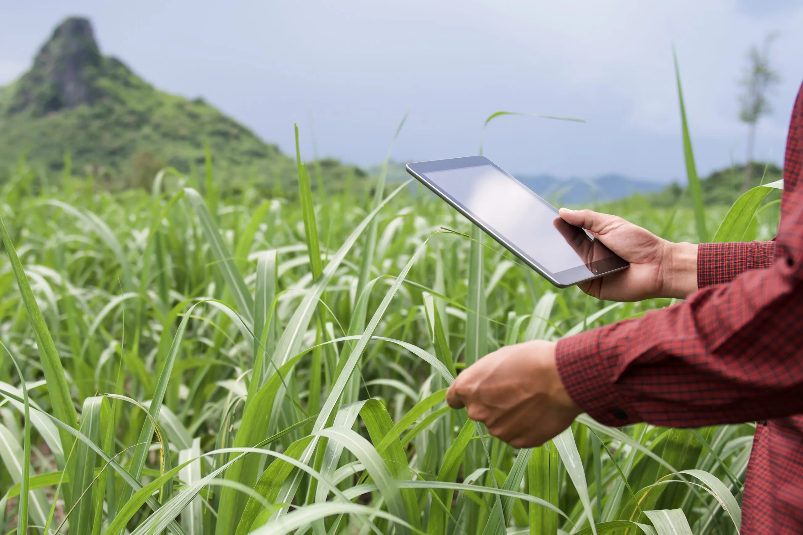 How Crop Pricing Competitiveness Influences Agricultural Export Success international-crop-pricing-competitiveness-scaled