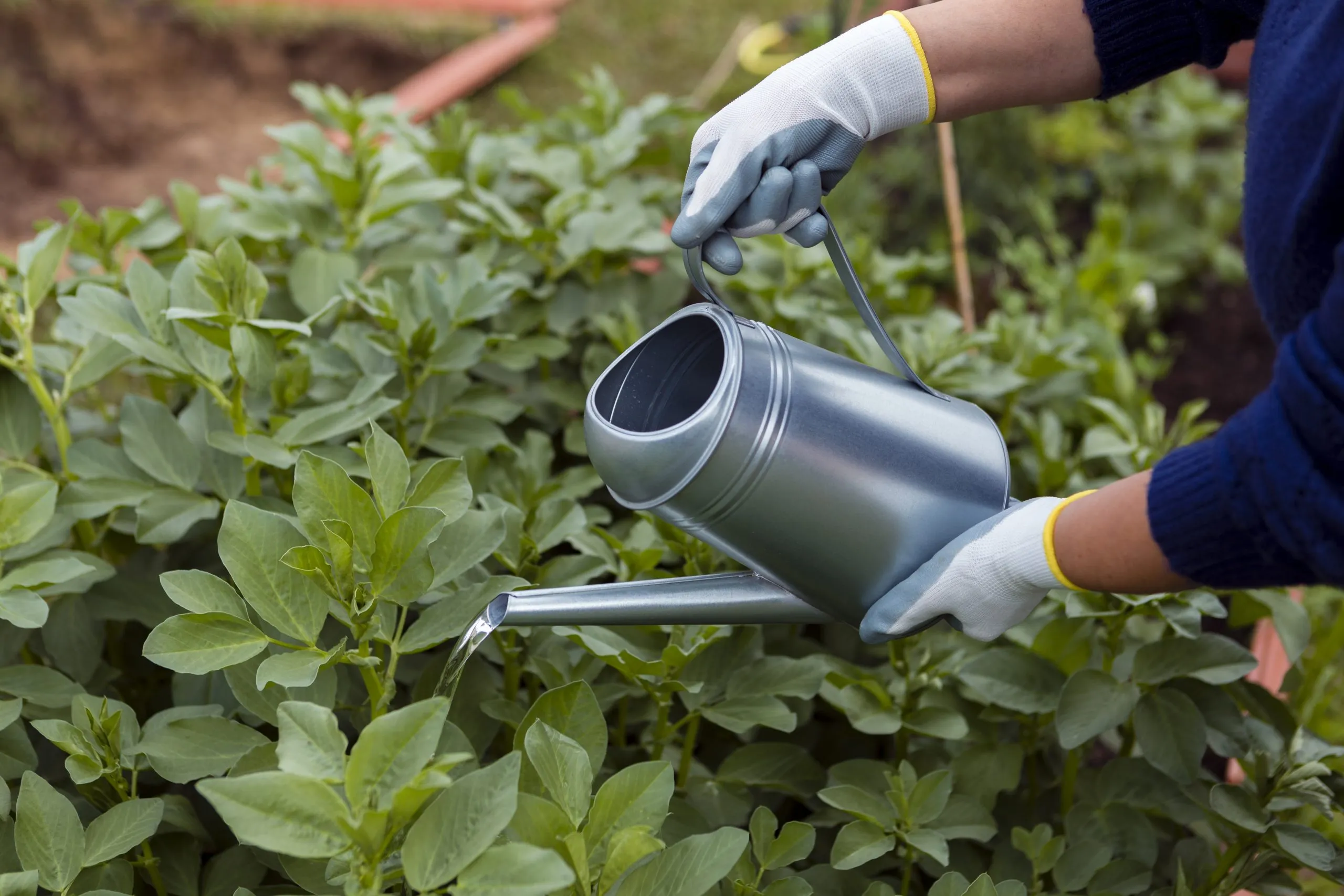 Irrigation Equipment Pricing Competitiveness Across Water-Constrained Agricultural Regions irrigation-equipment-price-competitiveness-scaled