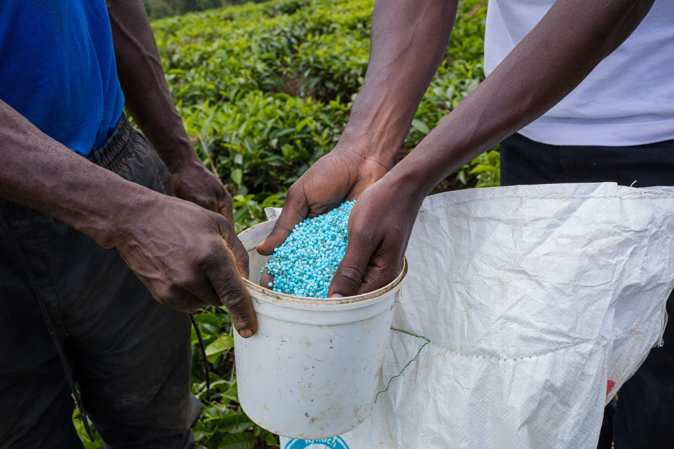 Nigeria Micronutrient Fertilizer Market Driven by Agriculture Employing More Than 30 Million People low-section-man-working-workshop-scaled