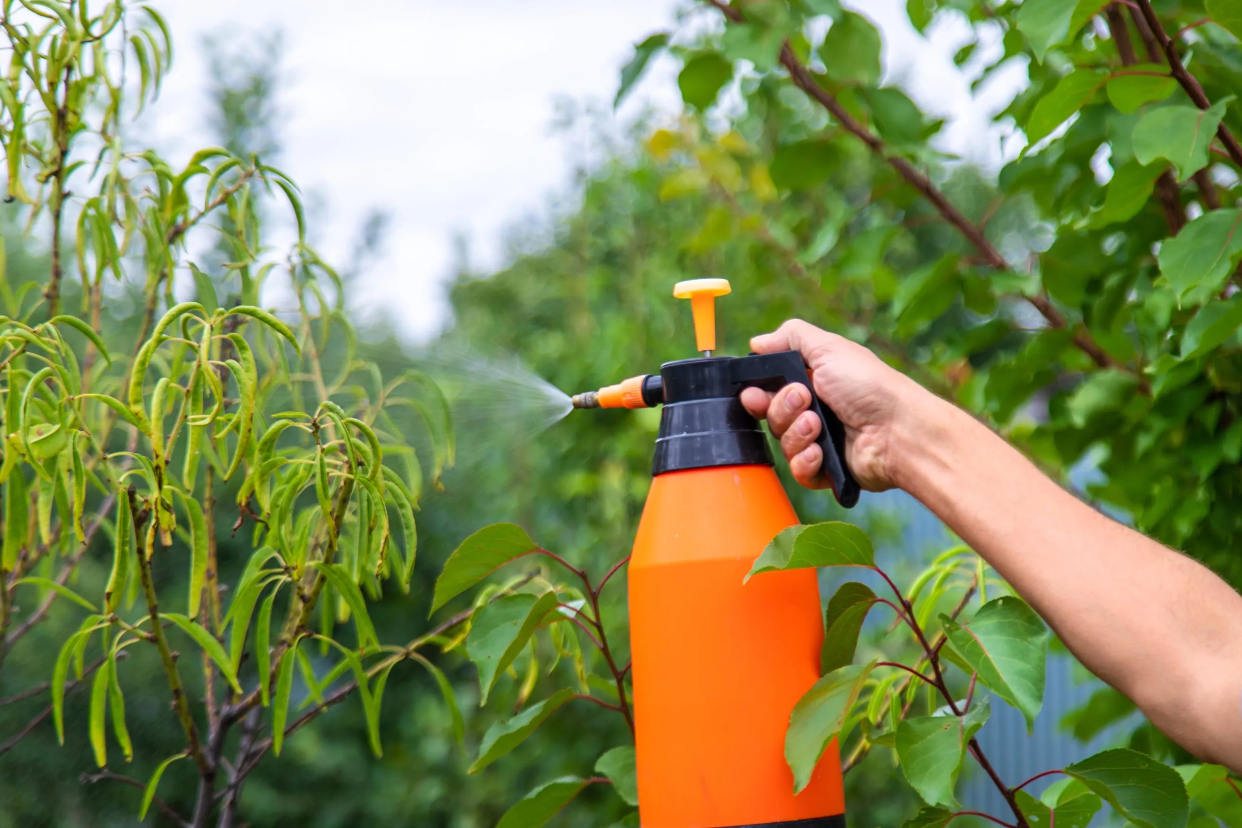 South Africa Herbicide Market Gains Momentum as South Africa Holds 13.6 Percent Share of Africa Crop Protection Chemicals Demand man-sprays-trees-garden-selective-focus-scaled