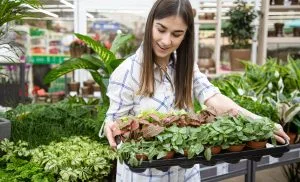 Organic Farming Expansion Accelerates as Consumer Demand for Sustainable Products Continues to Grow 